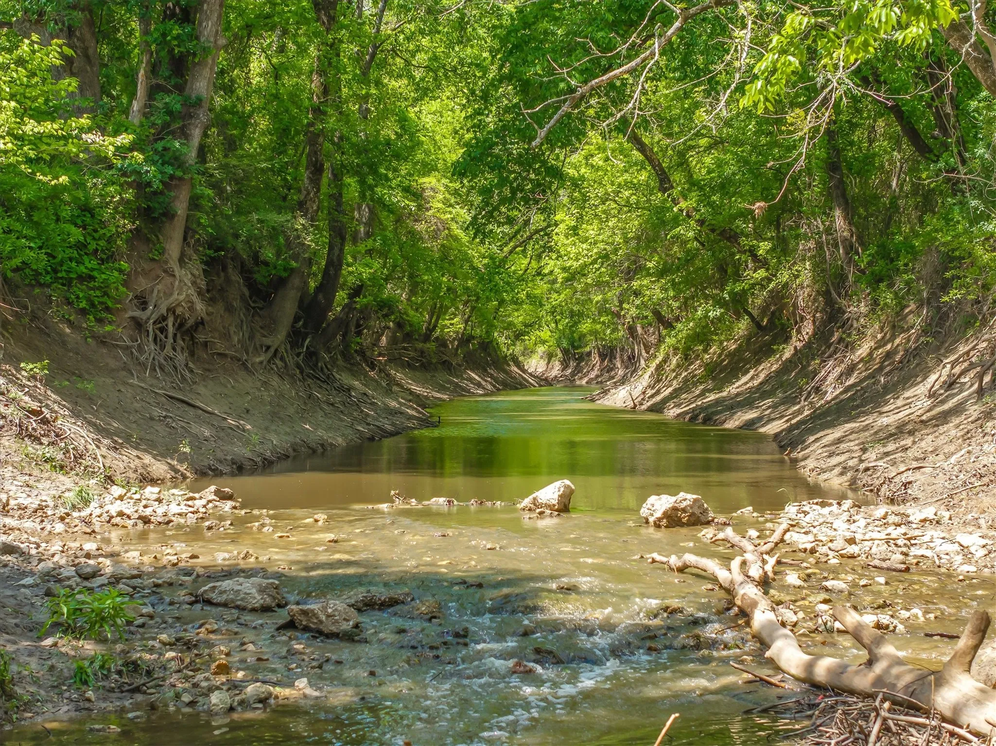 McBee Creek can be driven over at this point with a concrete base