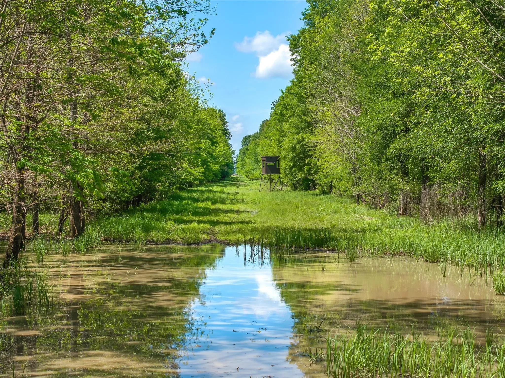 Farm For Sale in Van Zandt County , 1189 VZ County Road 3702, Edgewood, Texas 75117, 5 Bedrooms, 5 Bathrooms, 2 Garage spaces, 4,100 Sqft, built in 2023, Preowned, Price $5,400,000, mls#21237126, Real Estate Agent in Edgewood, Homes For Sale in Van Zandt county, Homes For Sale in Edgewood, Realtor in Edgewood Texas, Real Estate Brokerage Independent Realty Texas, Luminita Cordes Realtor