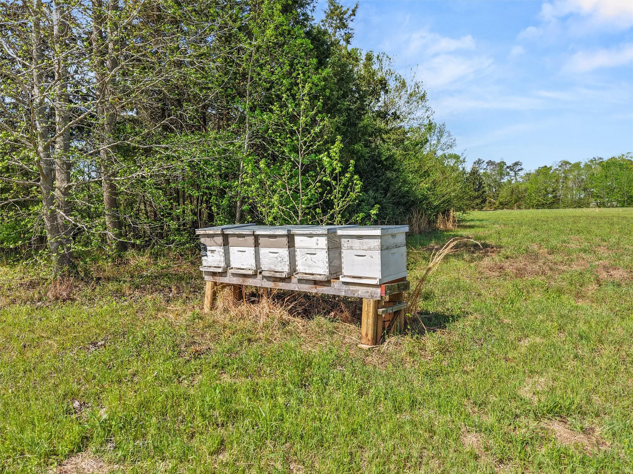 Single Family Residence For Sale in Upshur County , 1333 Lupine Road, Gilmer, Texas 75644, 3 Bedroom, 2 Bathroom, Garage spaces, 1,344 Sqft, built in 2016, Preowned, mls#21240658, Real Estate Agent in Gilmer, Homes For Sale in Upshur county, Homes For Sale in Gilmer, Realtor in Gilmer Texas, Real Estate Brokerage Independent Realty Texas, Luminita Cordes Realtor