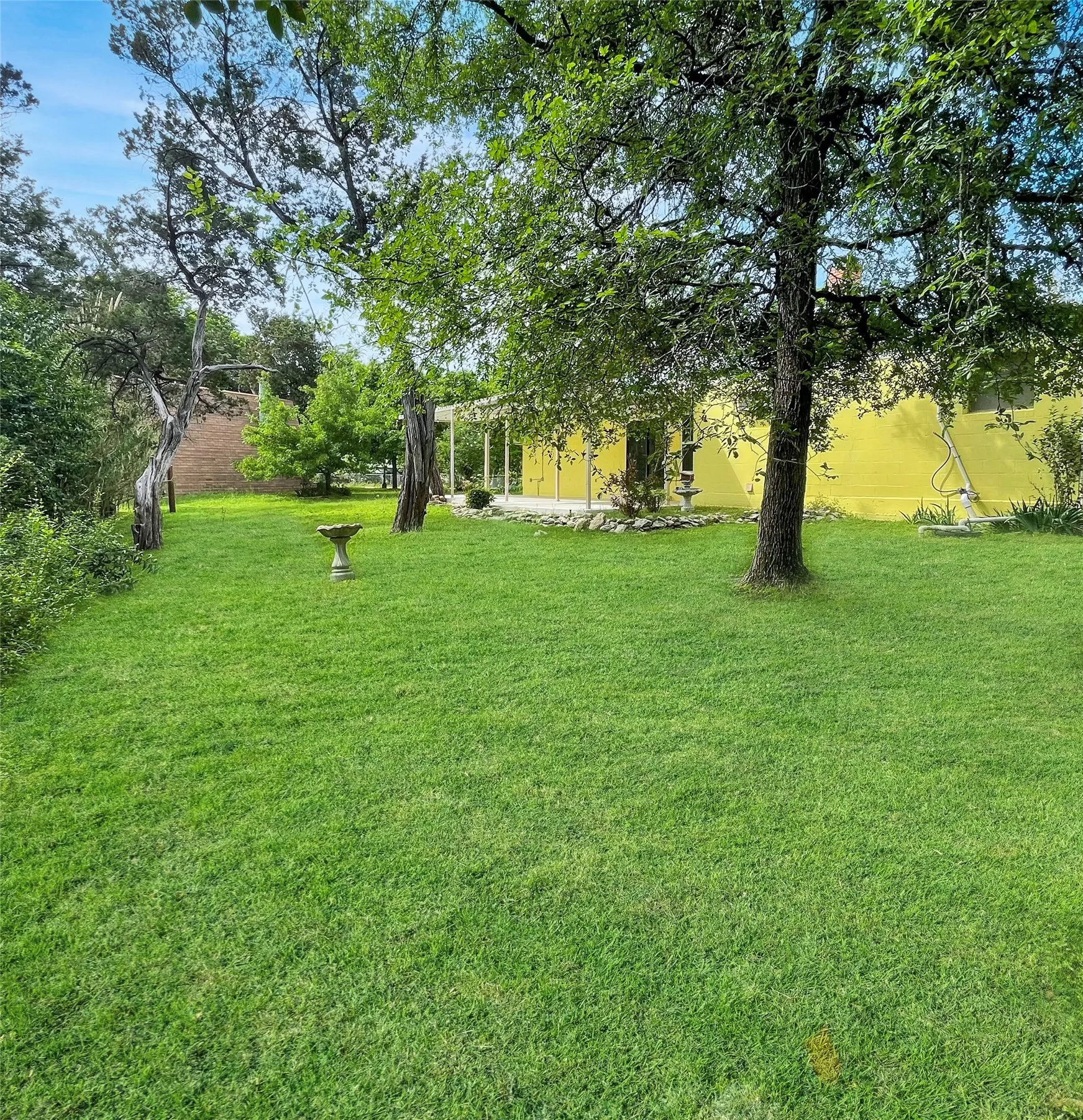 Side view of yard