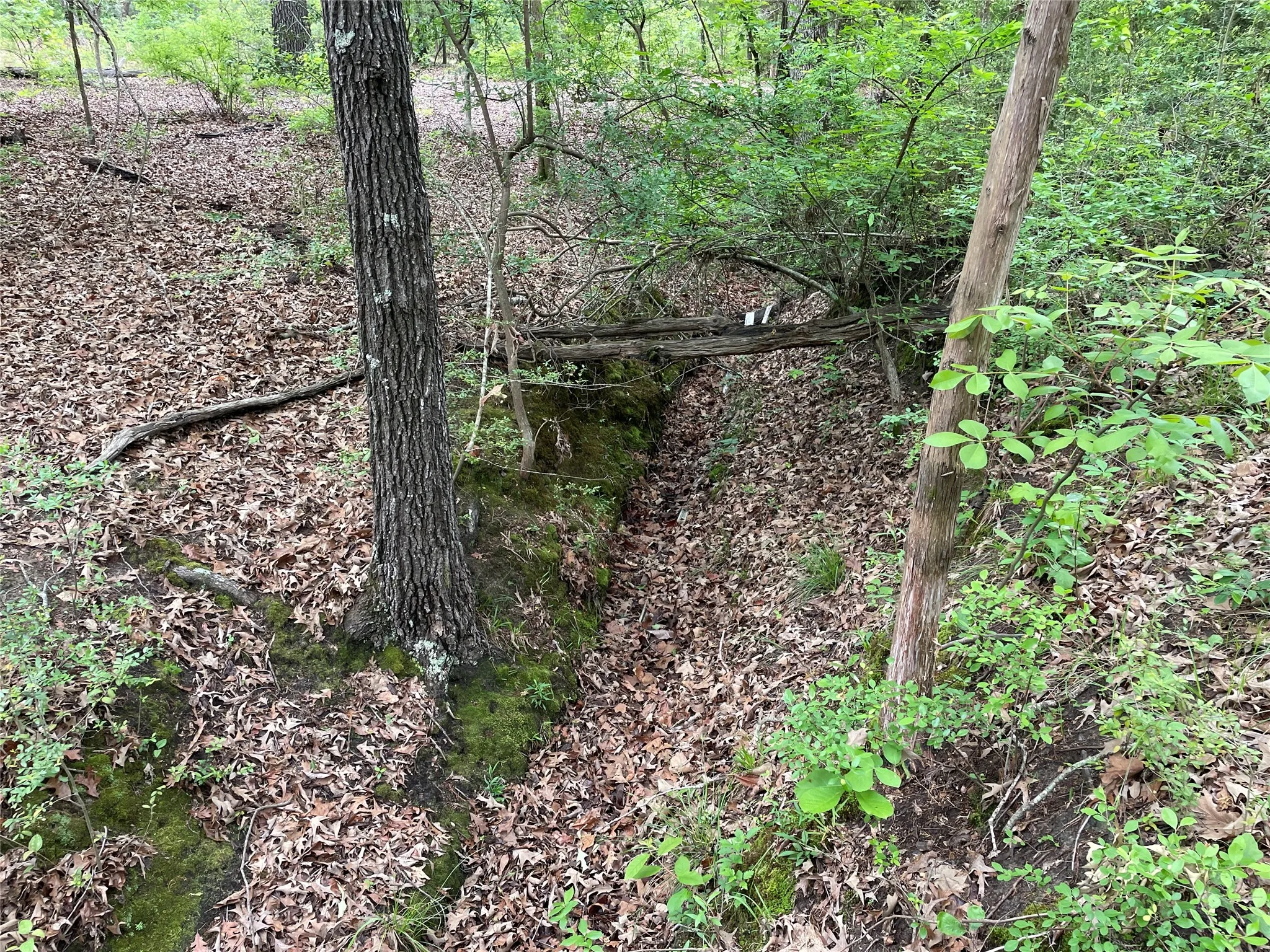 Unimproved Land For Sale in Henderson County , TBD Valle Vista Road, Athens, Texas 75751, 0, 0, Garage spaces, 0 Sqft, built in 0, mls#21240286, Real Estate Agent in Athens, Homes For Sale in Henderson county, Homes For Sale in Athens, Realtor in Athens Texas, Real Estate Brokerage Independent Realty Texas, Luminita Cordes Realtor