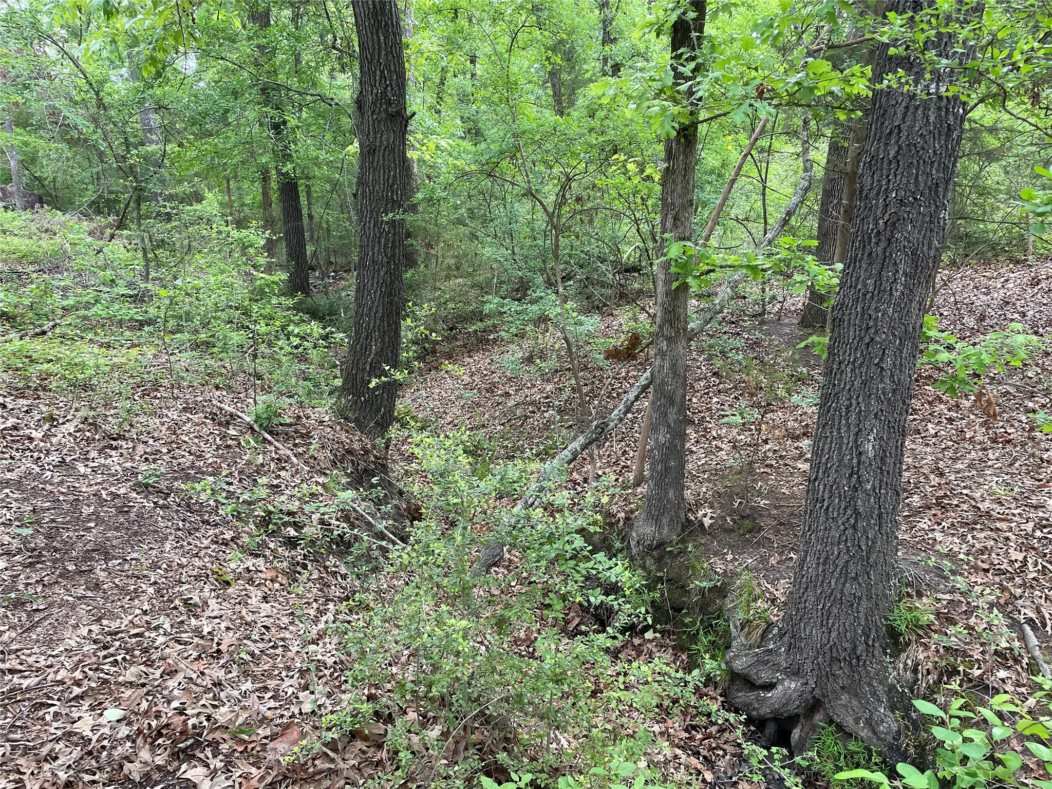 Unimproved Land For Sale in Henderson County , TBD Valle Vista Road, Athens, Texas 75751, 0, 0, Garage spaces, 0 Sqft, built in 0, mls#21240286, Real Estate Agent in Athens, Homes For Sale in Henderson county, Homes For Sale in Athens, Realtor in Athens Texas, Real Estate Brokerage Independent Realty Texas, Luminita Cordes Realtor