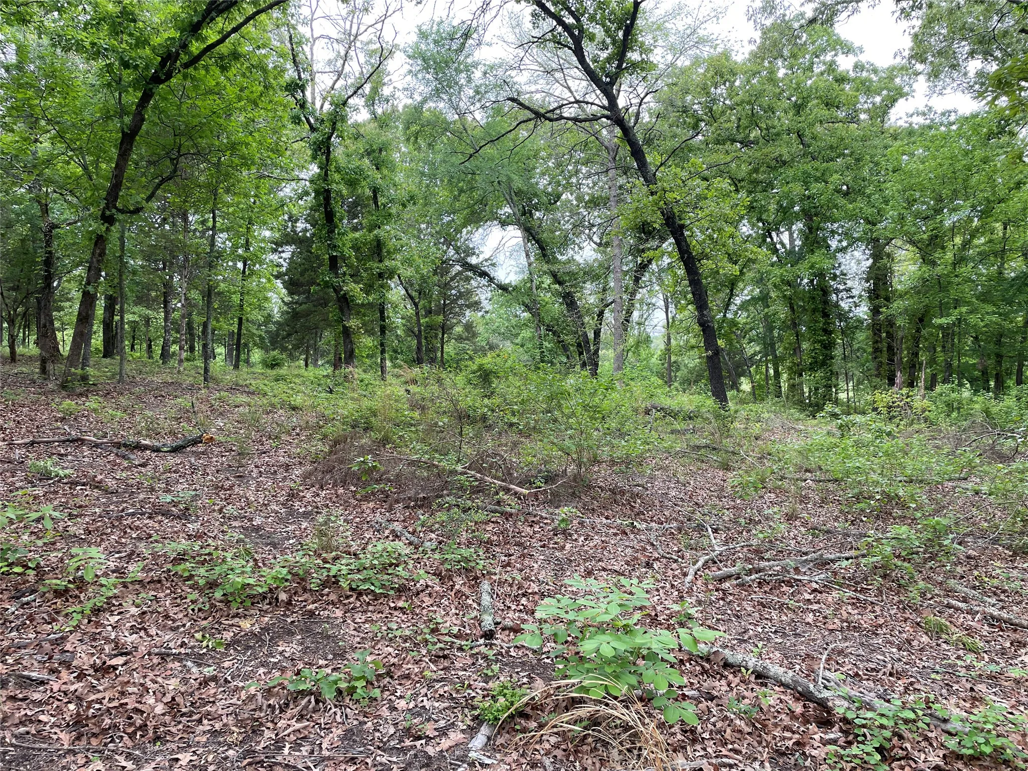 Unimproved Land For Sale in Henderson County , TBD Valle Vista Road, Athens, Texas 75751, 0, 0, Garage spaces, 0 Sqft, built in 0, mls#21240286, Real Estate Agent in Athens, Homes For Sale in Henderson county, Homes For Sale in Athens, Realtor in Athens Texas, Real Estate Brokerage Independent Realty Texas, Luminita Cordes Realtor