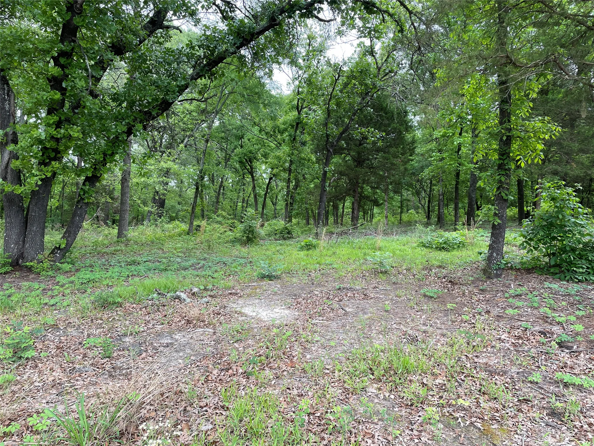 Unimproved Land For Sale in Henderson County , TBD Valle Vista Road, Athens, Texas 75751, 0, 0, Garage spaces, 0 Sqft, built in 0, mls#21240286, Real Estate Agent in Athens, Homes For Sale in Henderson county, Homes For Sale in Athens, Realtor in Athens Texas, Real Estate Brokerage Independent Realty Texas, Luminita Cordes Realtor
