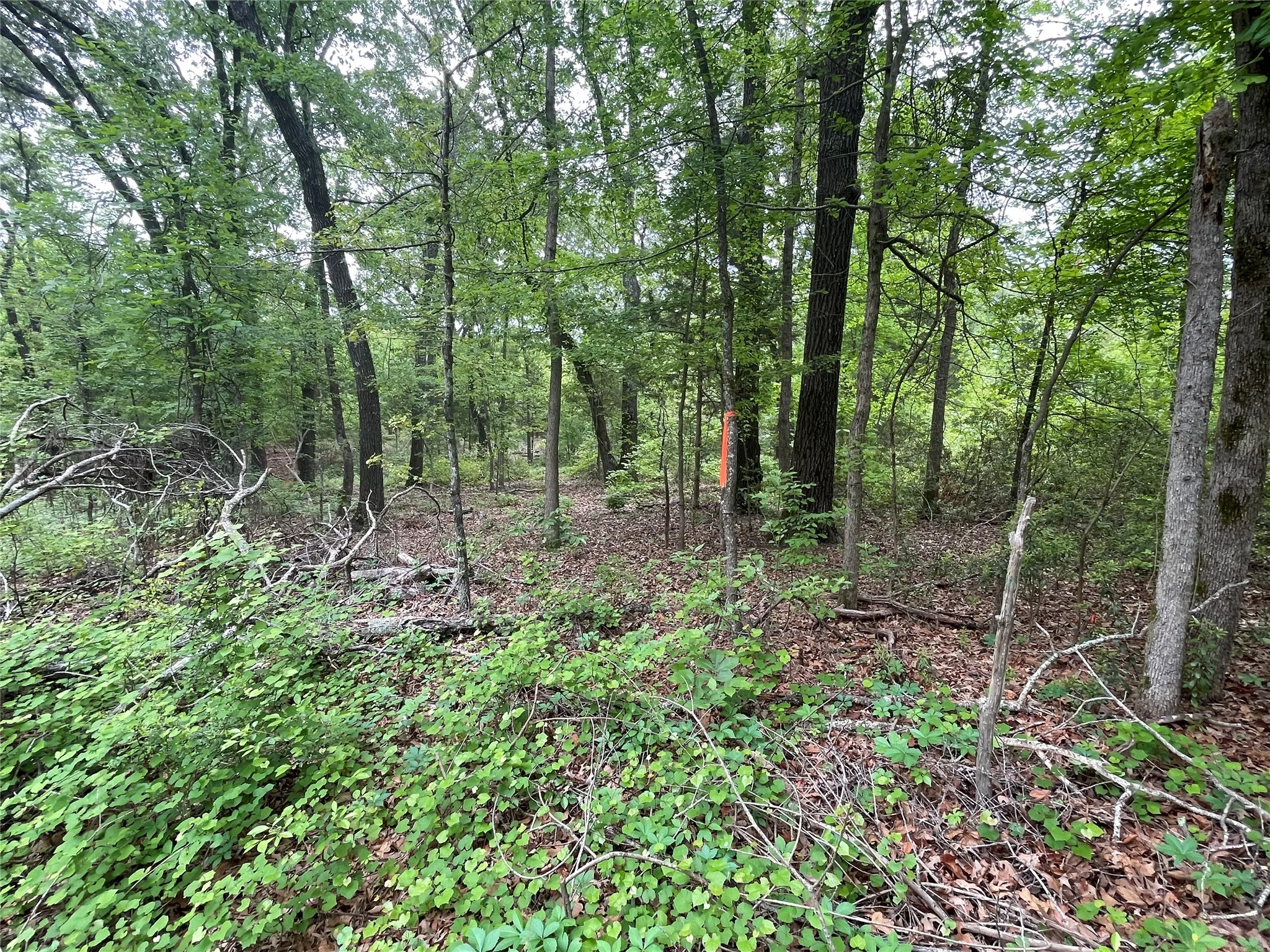 Unimproved Land For Sale in Henderson County , TBD Valle Vista Road, Athens, Texas 75751, 0, 0, Garage spaces, 0 Sqft, built in 0, mls#21240286, Real Estate Agent in Athens, Homes For Sale in Henderson county, Homes For Sale in Athens, Realtor in Athens Texas, Real Estate Brokerage Independent Realty Texas, Luminita Cordes Realtor