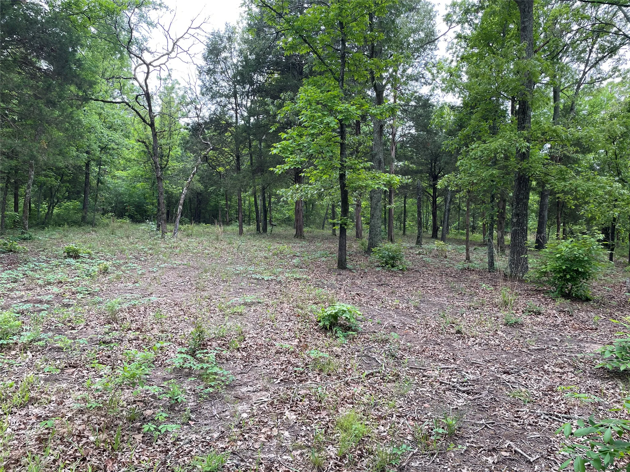 Unimproved Land For Sale in Henderson County , TBD Valle Vista Road, Athens, Texas 75751, 0, 0, Garage spaces, 0 Sqft, built in 0, mls#21240286, Real Estate Agent in Athens, Homes For Sale in Henderson county, Homes For Sale in Athens, Realtor in Athens Texas, Real Estate Brokerage Independent Realty Texas, Luminita Cordes Realtor