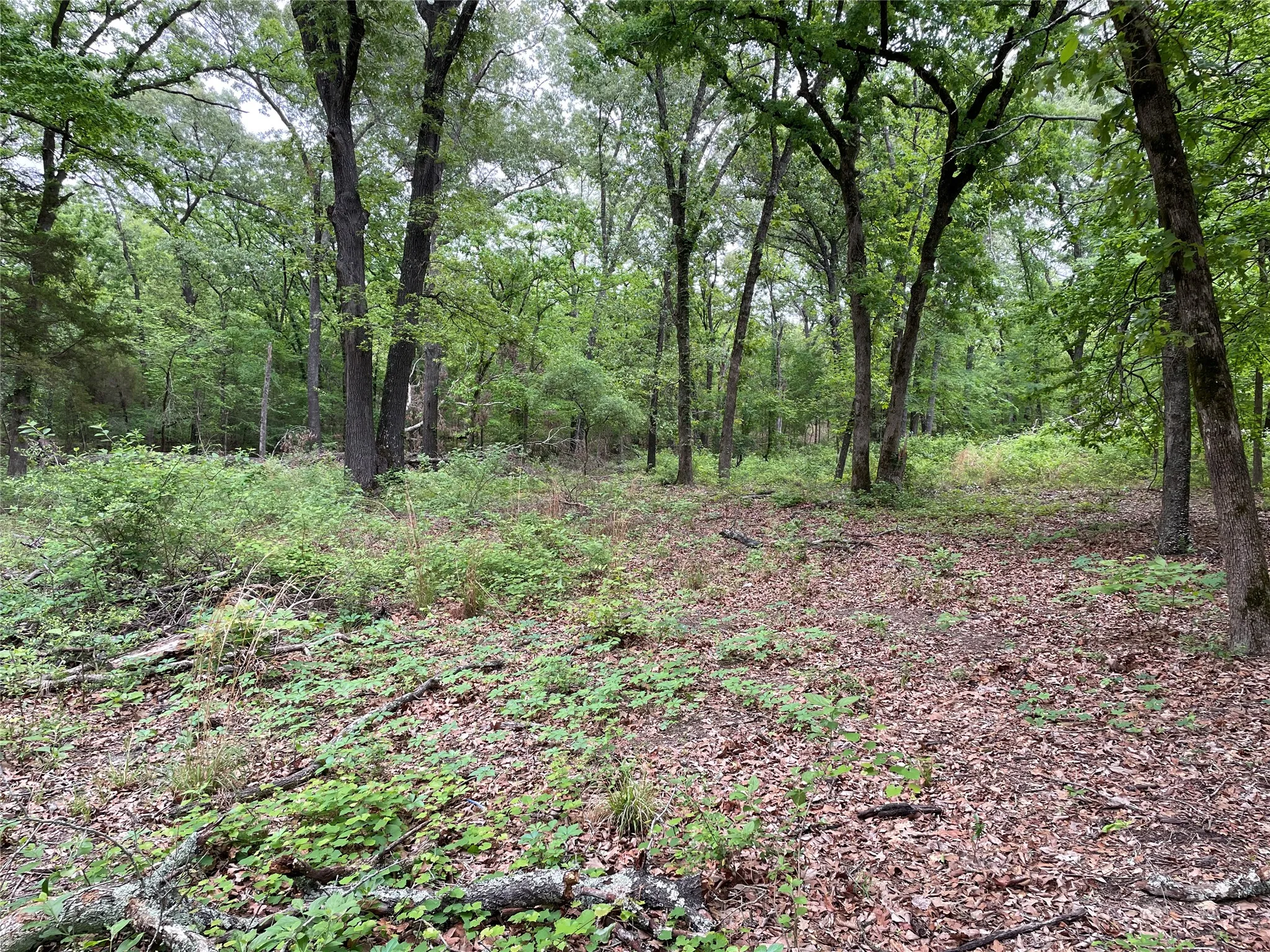 Unimproved Land For Sale in Henderson County , TBD Valle Vista Road, Athens, Texas 75751, 0, 0, Garage spaces, 0 Sqft, built in 0, mls#21240286, Real Estate Agent in Athens, Homes For Sale in Henderson county, Homes For Sale in Athens, Realtor in Athens Texas, Real Estate Brokerage Independent Realty Texas, Luminita Cordes Realtor