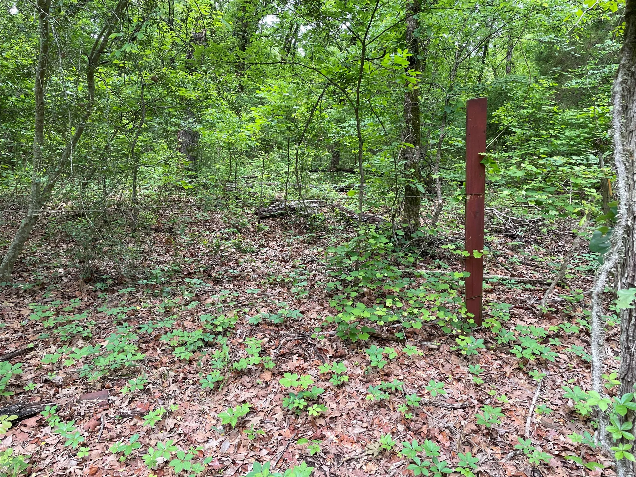 Unimproved Land For Sale in Henderson County , TBD Valle Vista Road, Athens, Texas 75751, 0, 0, Garage spaces, 0 Sqft, built in 0, mls#21240286, Real Estate Agent in Athens, Homes For Sale in Henderson county, Homes For Sale in Athens, Realtor in Athens Texas, Real Estate Brokerage Independent Realty Texas, Luminita Cordes Realtor