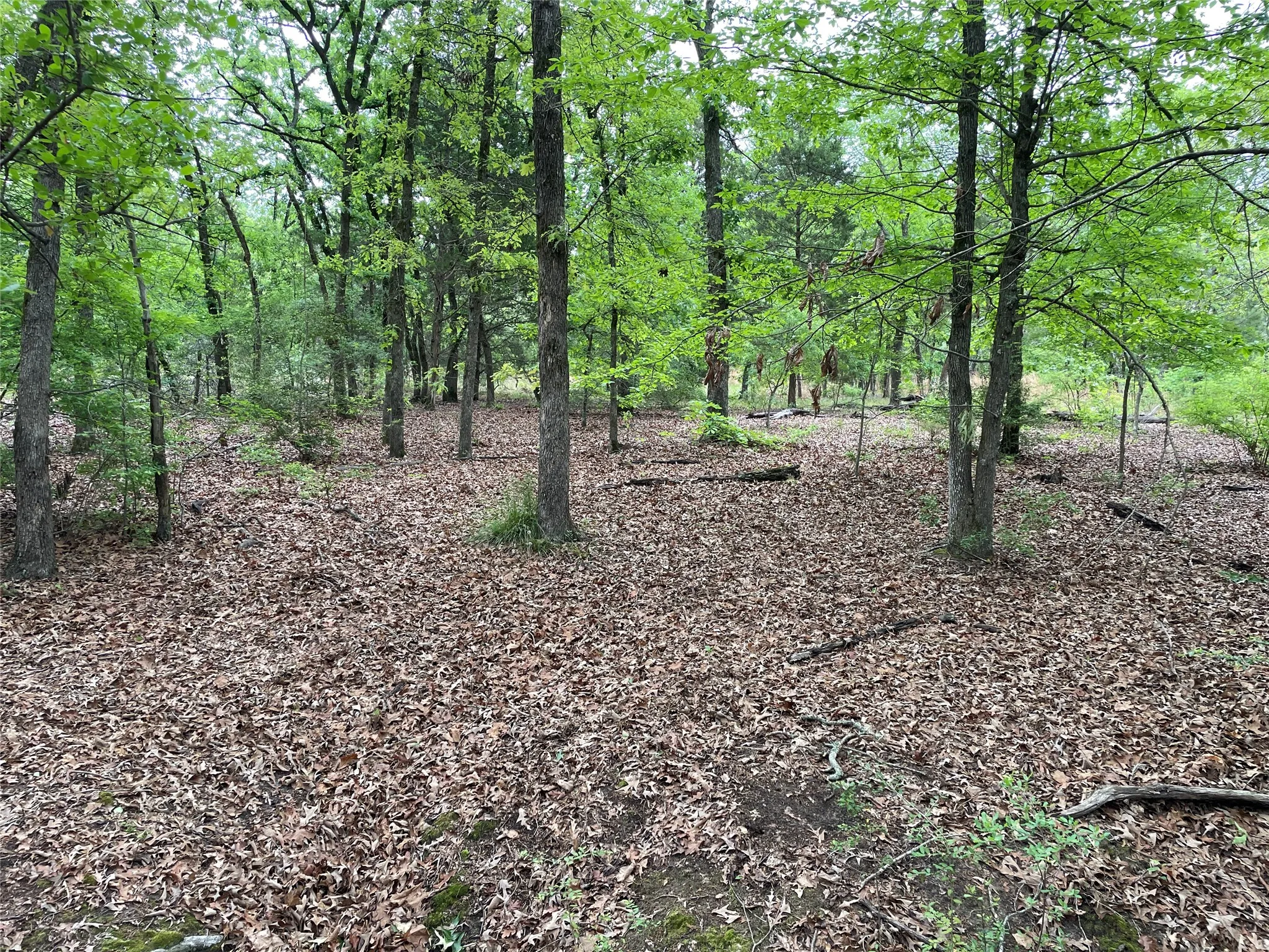 Unimproved Land For Sale in Henderson County , TBD Valle Vista Road, Athens, Texas 75751, 0, 0, Garage spaces, 0 Sqft, built in 0, mls#21240286, Real Estate Agent in Athens, Homes For Sale in Henderson county, Homes For Sale in Athens, Realtor in Athens Texas, Real Estate Brokerage Independent Realty Texas, Luminita Cordes Realtor