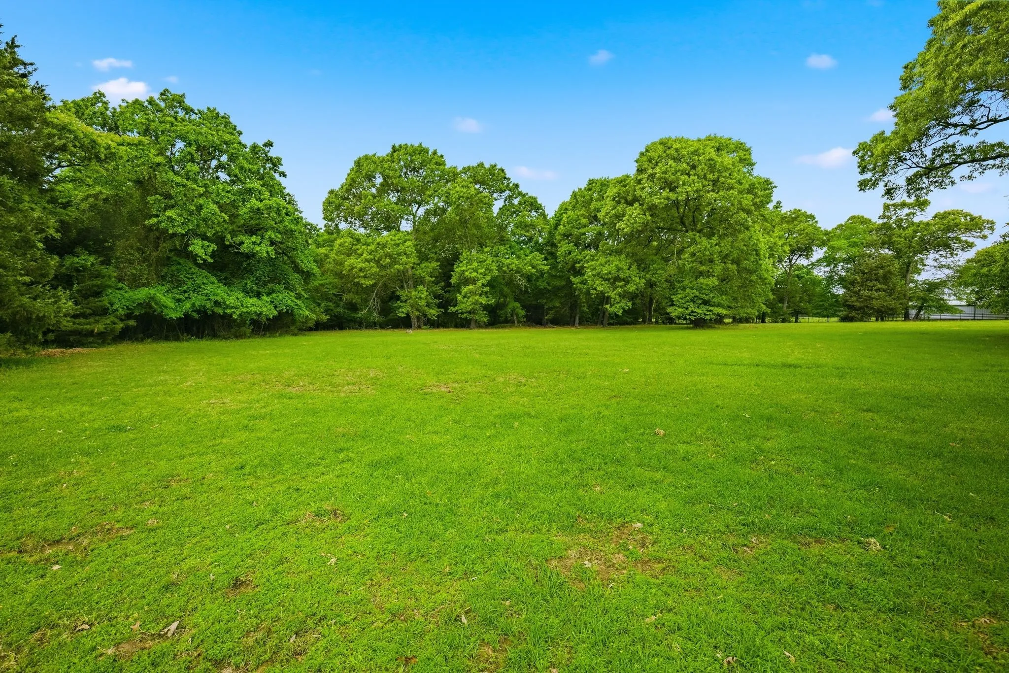 Expansive lawn area surrounded by mature trees
