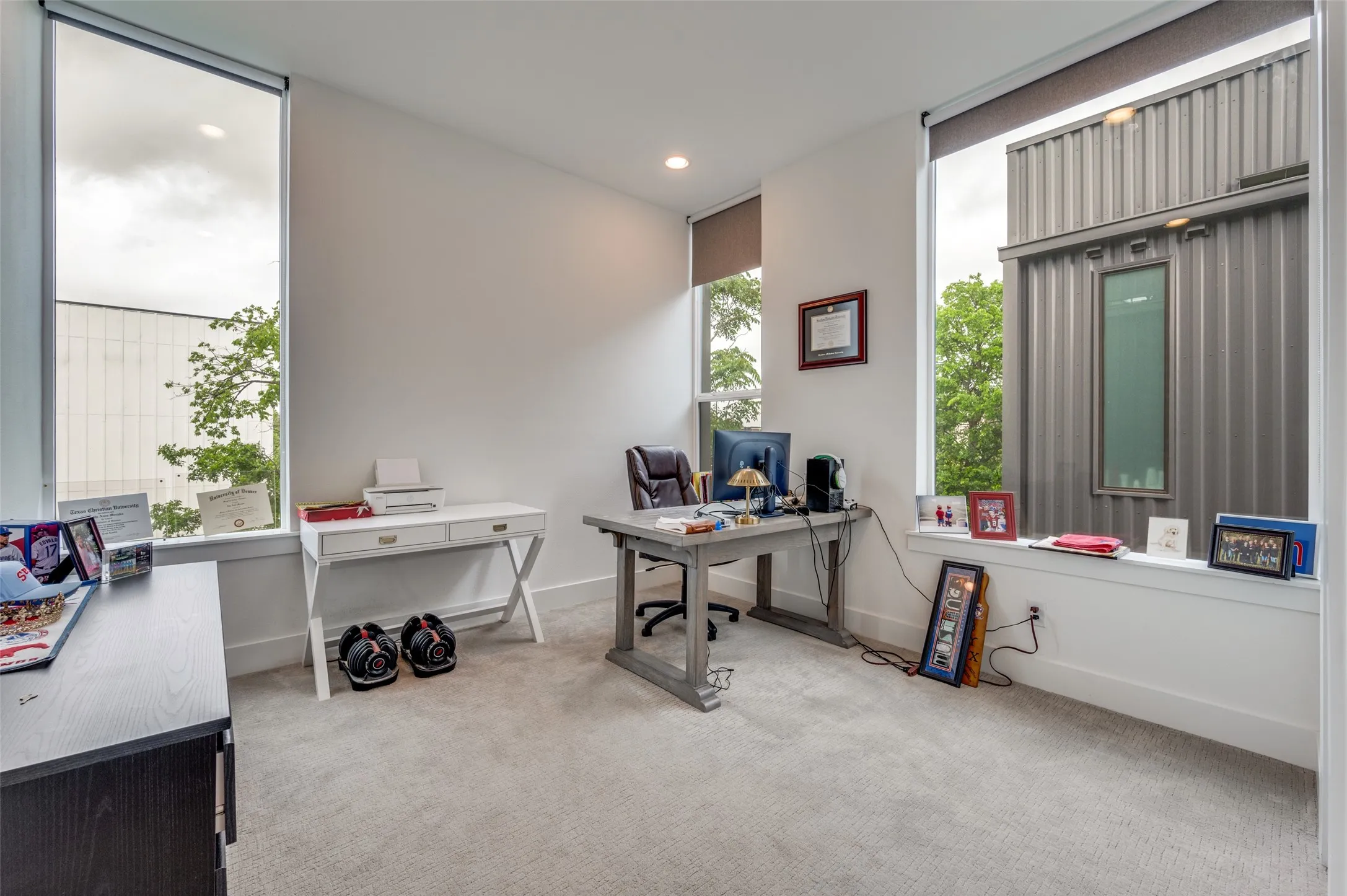 This room features tall windows with roller blinds, light-colored carpeting, and white walls