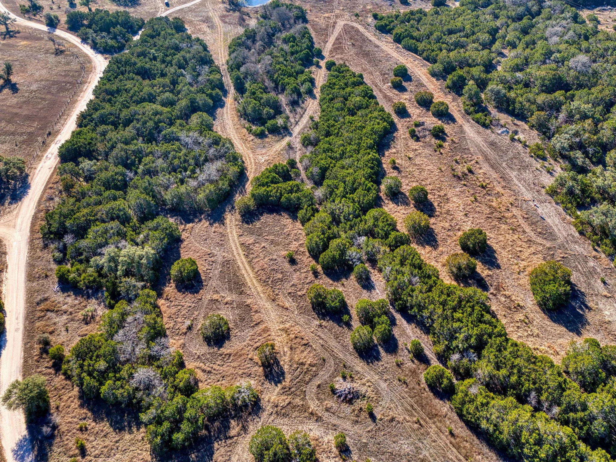 The property offers expansive natural land featuring trees and clearings, with visible unpaved paths throughout