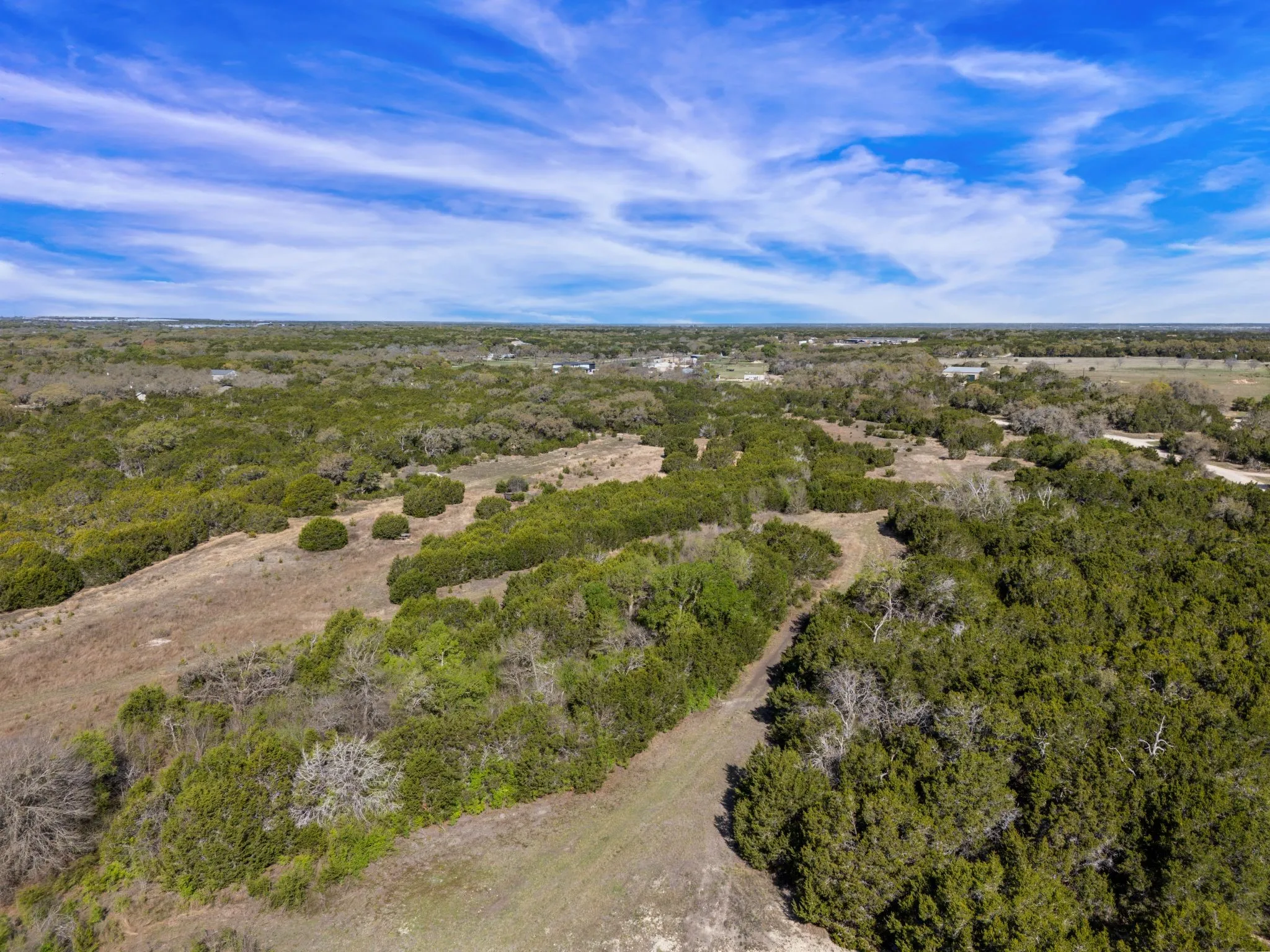 Expansive land with abundant mature trees and natural vegetation