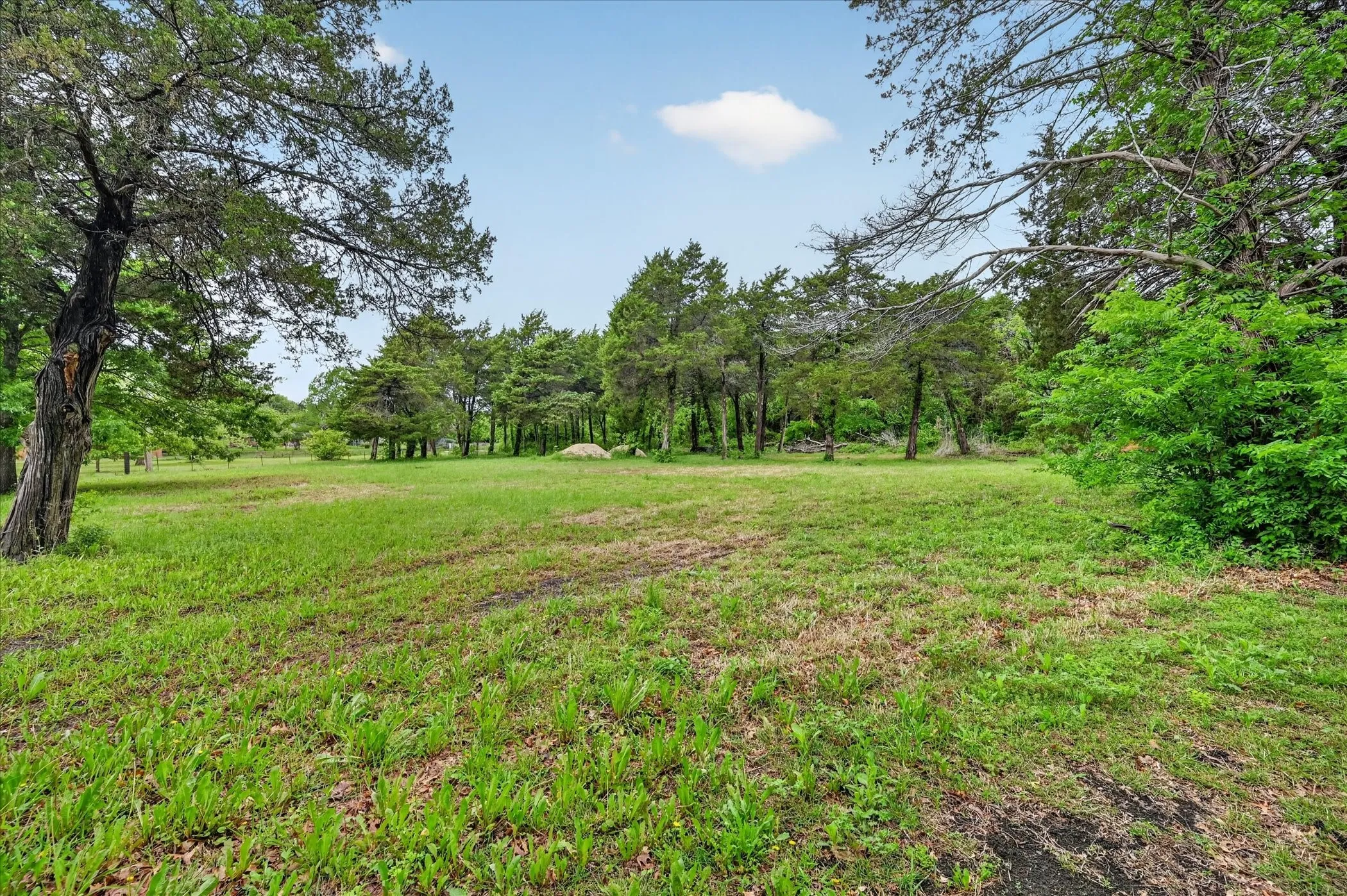Unimproved Land For Sale in Ellis County , 205 Brookwood Court, Ovilla, Texas 75154, 0, 0, Garage spaces, 0 Sqft, built in 0, mls#21235302, Real Estate Agent in Ovilla, Homes For Sale in Ellis county, Homes For Sale in Ovilla, Realtor in Ovilla Texas, Real Estate Brokerage Independent Realty Texas, Luminita Cordes Realtor