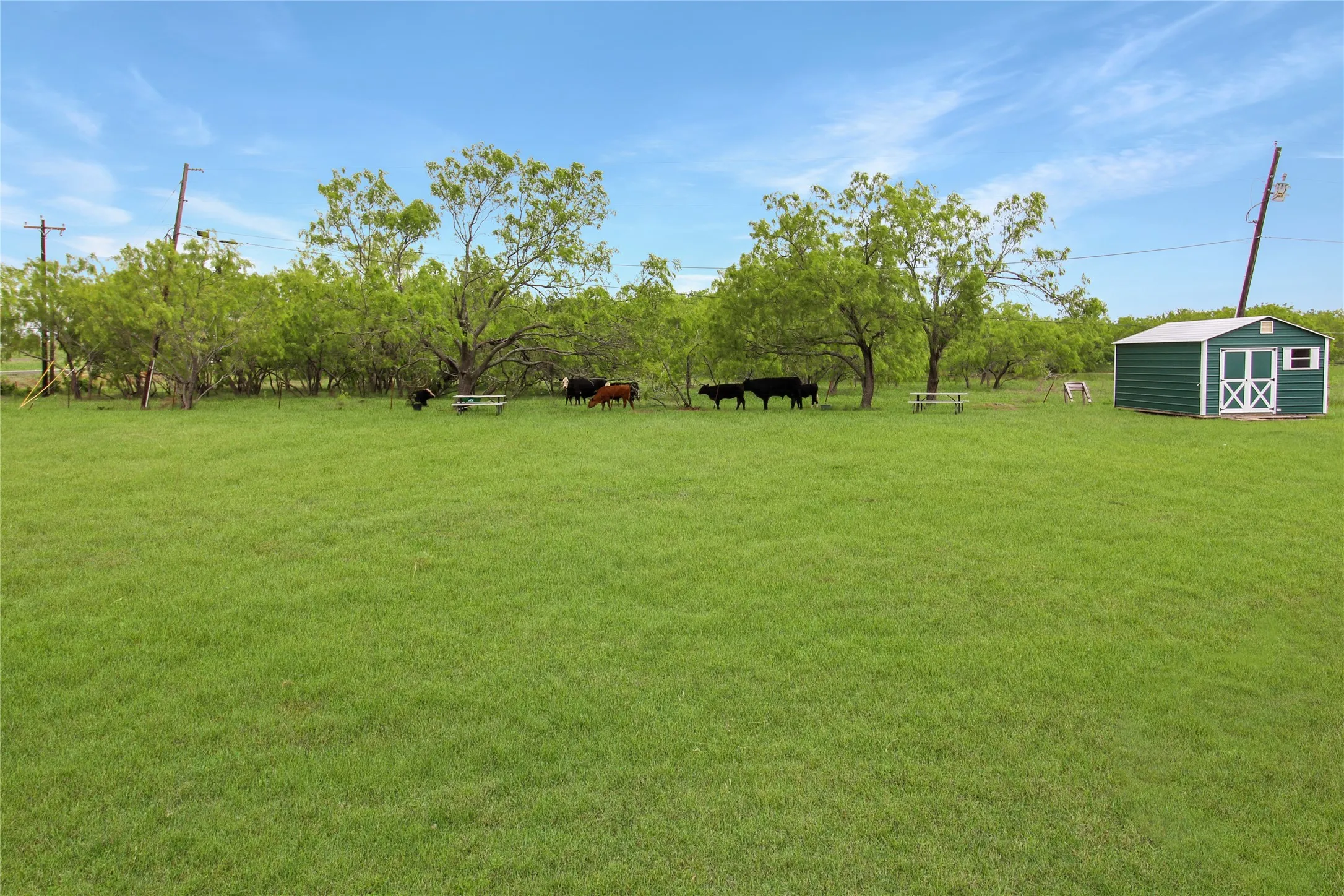 Expansive grassy pasture with mature trees and a dedicated storage shed with white trim