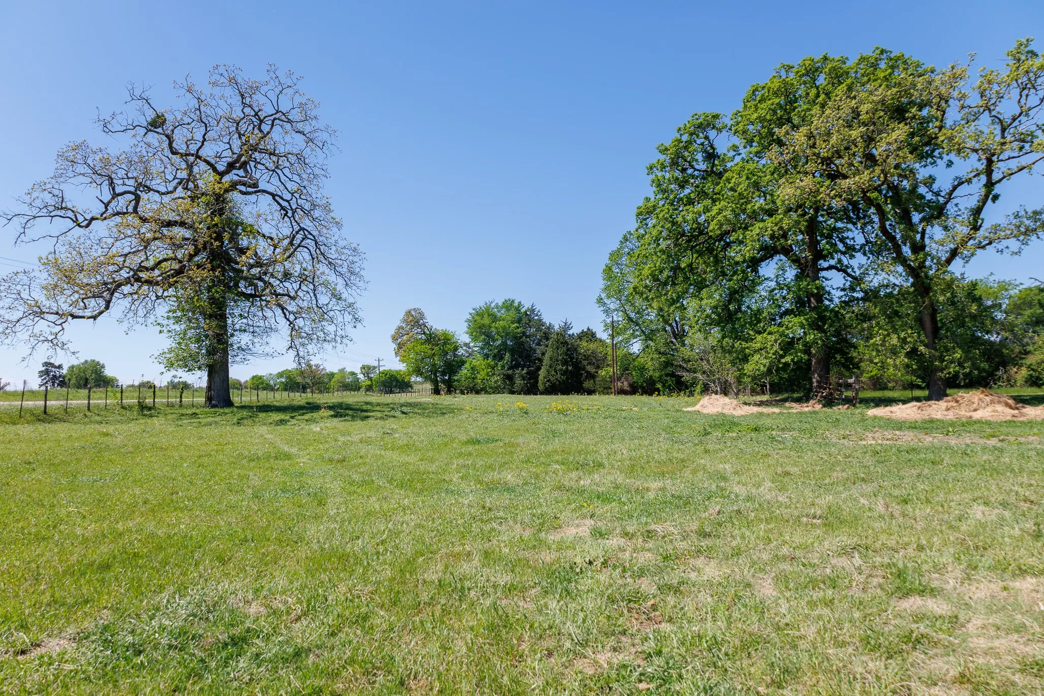 Ranch For Sale in Smith County , 5973 Fm 344 E, Tyler, Texas 75703, 0, 0, Garage spaces, 0 Sqft, built in 0, Price $900,000, mls#21238654, Real Estate Agent in Tyler, Homes For Sale in Smith county, Homes For Sale in Tyler, Realtor in Tyler Texas, Real Estate Brokerage Independent Realty Texas, Luminita Cordes Realtor