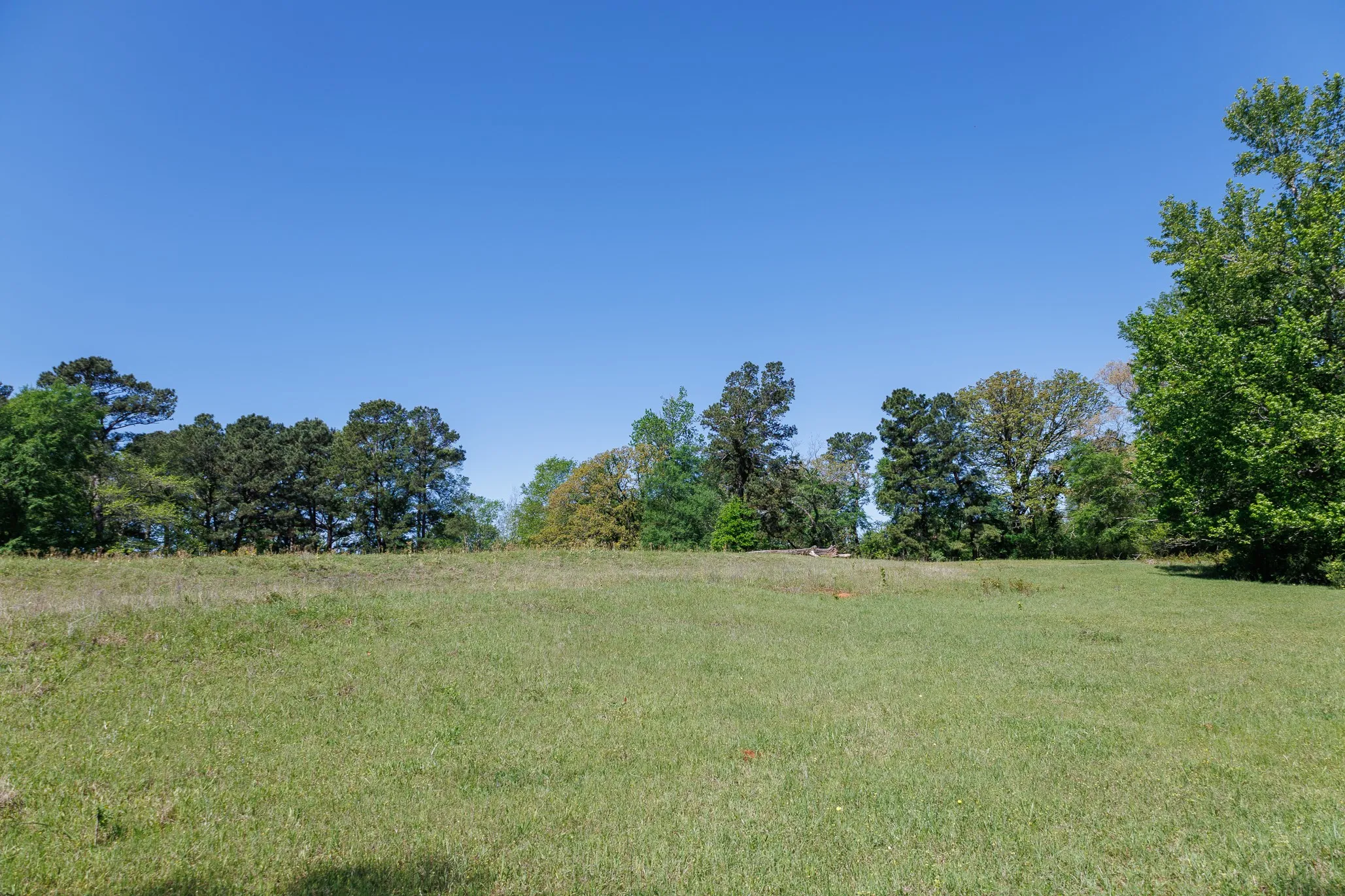 Ranch For Sale in Smith County , 5973 Fm 344 E, Tyler, Texas 75703, 0, 0, Garage spaces, 0 Sqft, built in 0, Price $900,000, mls#21238654, Real Estate Agent in Tyler, Homes For Sale in Smith county, Homes For Sale in Tyler, Realtor in Tyler Texas, Real Estate Brokerage Independent Realty Texas, Luminita Cordes Realtor