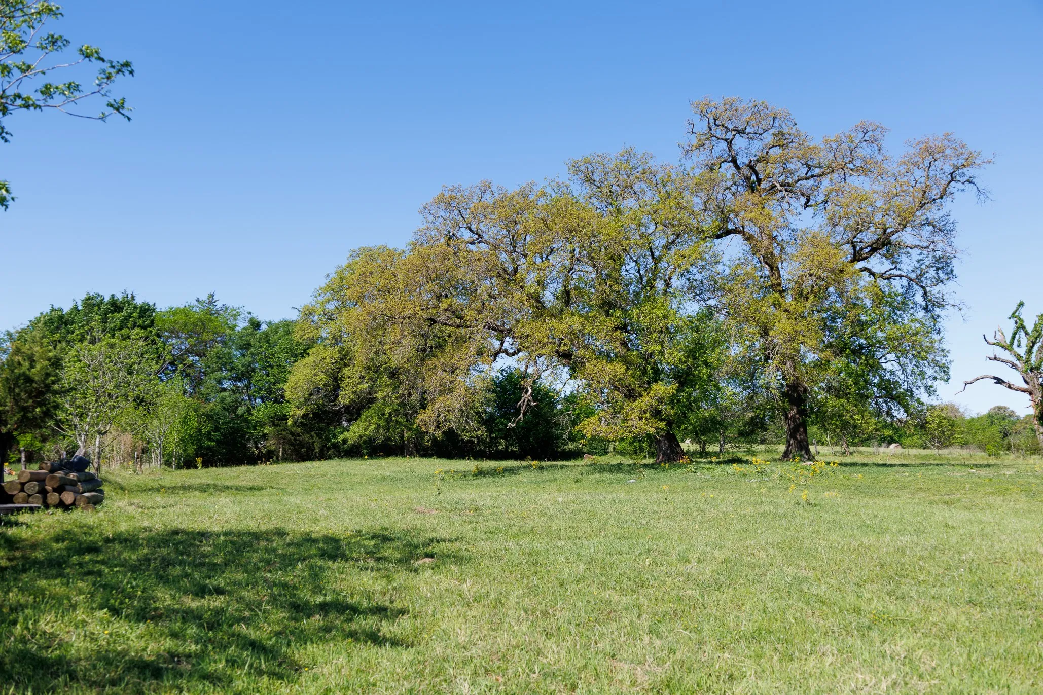 Ranch For Sale in Smith County , 5973 Fm 344 E, Tyler, Texas 75703, 0, 0, Garage spaces, 0 Sqft, built in 0, Price $900,000, mls#21238654, Real Estate Agent in Tyler, Homes For Sale in Smith county, Homes For Sale in Tyler, Realtor in Tyler Texas, Real Estate Brokerage Independent Realty Texas, Luminita Cordes Realtor