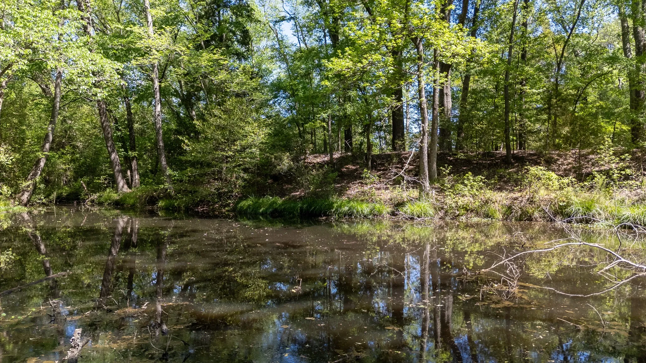 Ranch For Sale in Smith County , 5973 Fm 344 E, Tyler, Texas 75703, 0, 0, Garage spaces, 0 Sqft, built in 0, Price $900,000, mls#21238654, Real Estate Agent in Tyler, Homes For Sale in Smith county, Homes For Sale in Tyler, Realtor in Tyler Texas, Real Estate Brokerage Independent Realty Texas, Luminita Cordes Realtor