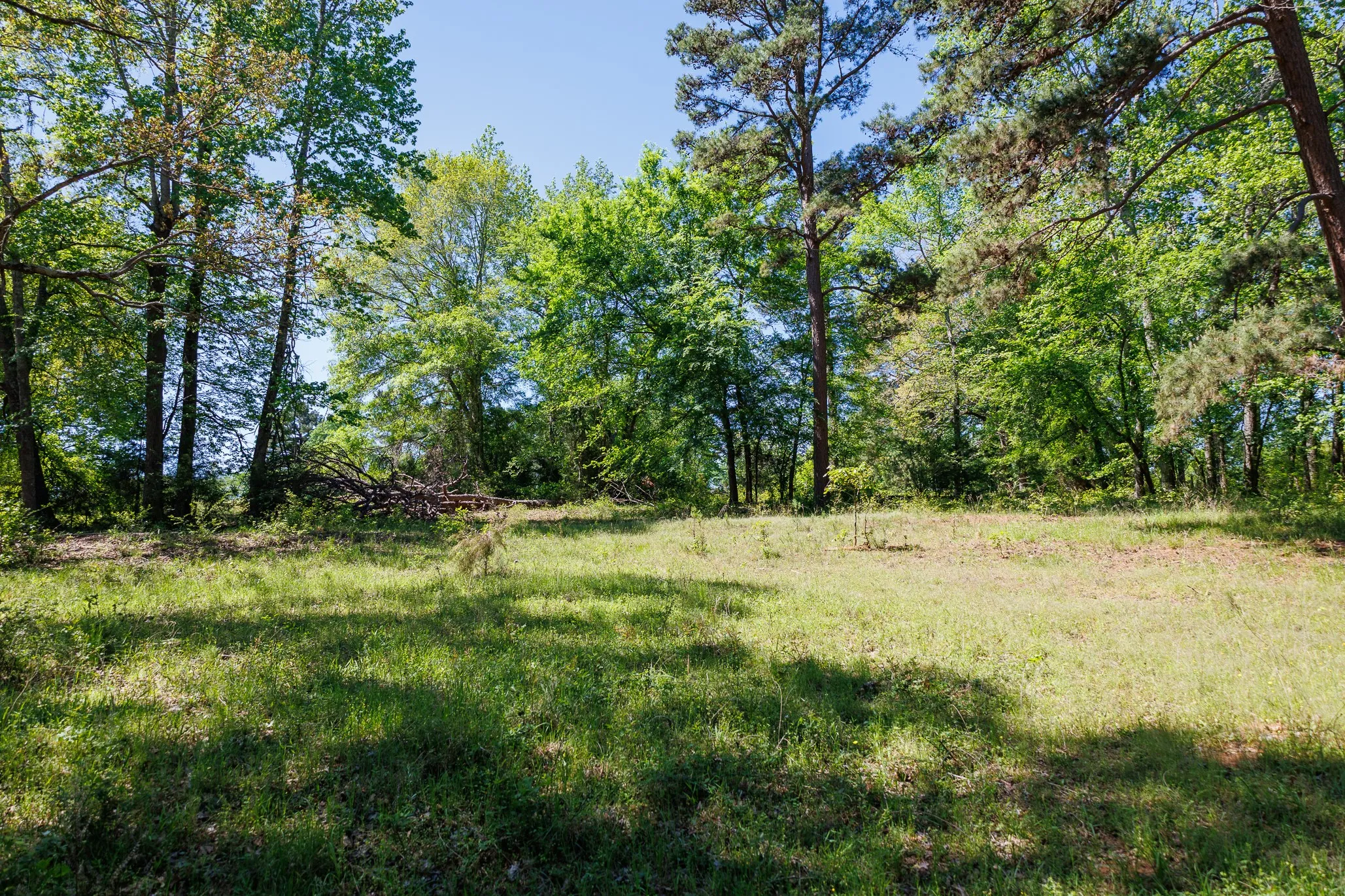 Ranch For Sale in Smith County , 5973 Fm 344 E, Tyler, Texas 75703, 0, 0, Garage spaces, 0 Sqft, built in 0, Price $900,000, mls#21238654, Real Estate Agent in Tyler, Homes For Sale in Smith county, Homes For Sale in Tyler, Realtor in Tyler Texas, Real Estate Brokerage Independent Realty Texas, Luminita Cordes Realtor