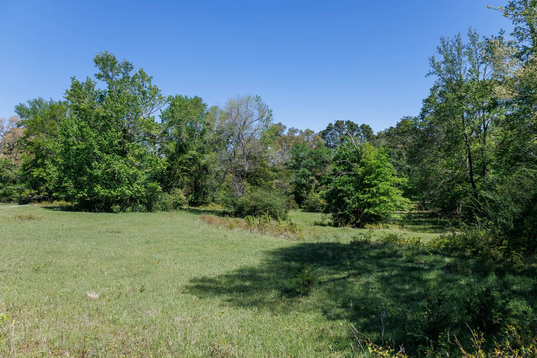 Ranch For Sale in Smith County , 5973 Fm 344 E, Tyler, Texas 75703, 0, 0, Garage spaces, 0 Sqft, built in 0, Price $900,000, mls#21238654, Real Estate Agent in Tyler, Homes For Sale in Smith county, Homes For Sale in Tyler, Realtor in Tyler Texas, Real Estate Brokerage Independent Realty Texas, Luminita Cordes Realtor