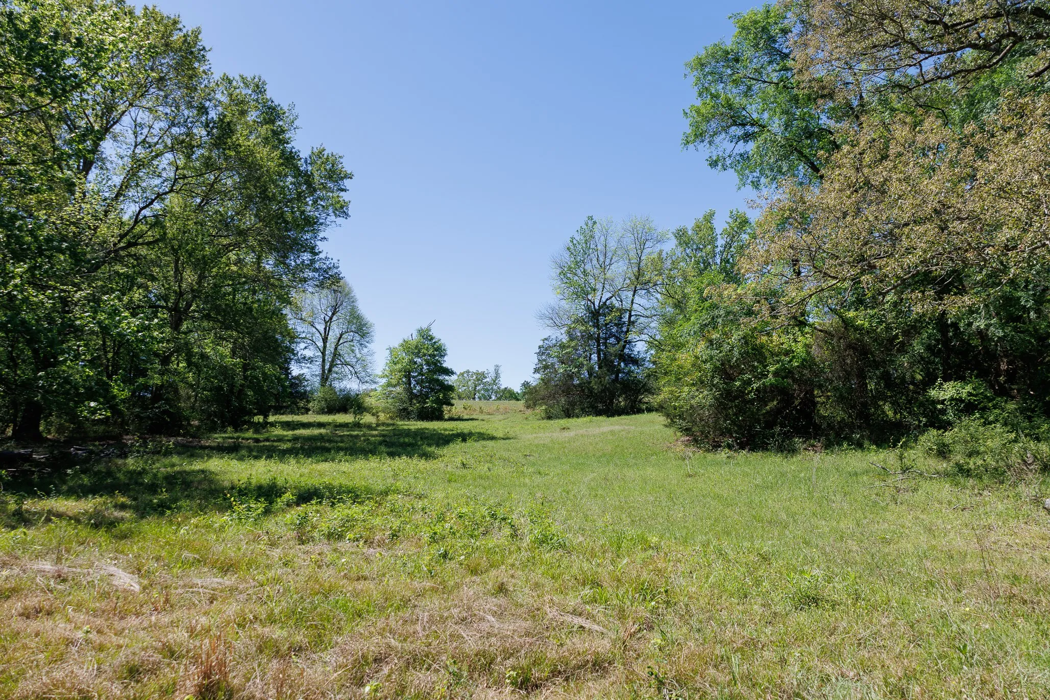Ranch For Sale in Smith County , 5973 Fm 344 E, Tyler, Texas 75703, 0, 0, Garage spaces, 0 Sqft, built in 0, Price $900,000, mls#21238654, Real Estate Agent in Tyler, Homes For Sale in Smith county, Homes For Sale in Tyler, Realtor in Tyler Texas, Real Estate Brokerage Independent Realty Texas, Luminita Cordes Realtor