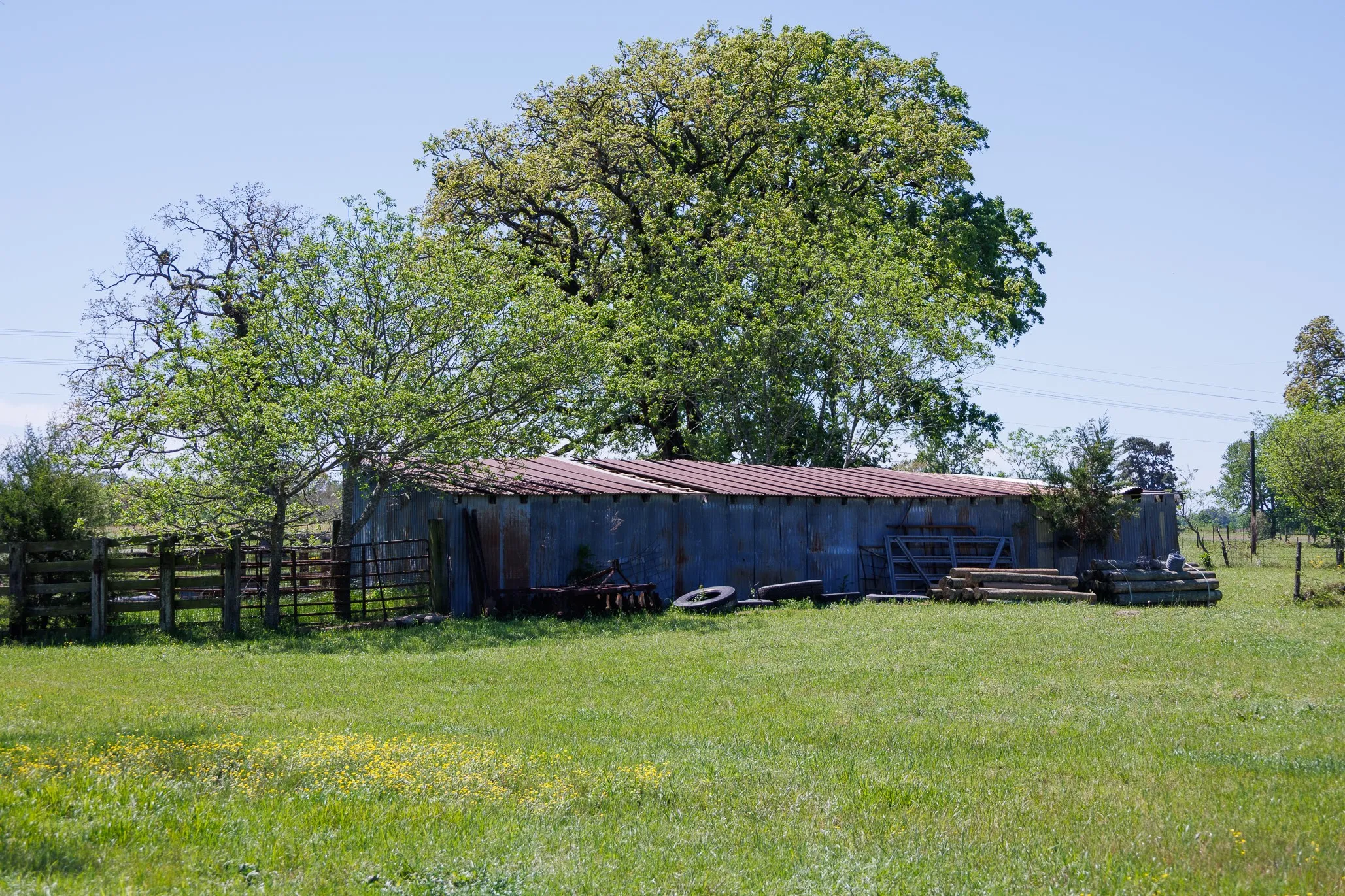 Ranch For Sale in Smith County , 5973 Fm 344 E, Tyler, Texas 75703, 0, 0, Garage spaces, 0 Sqft, built in 0, Price $900,000, mls#21238654, Real Estate Agent in Tyler, Homes For Sale in Smith county, Homes For Sale in Tyler, Realtor in Tyler Texas, Real Estate Brokerage Independent Realty Texas, Luminita Cordes Realtor