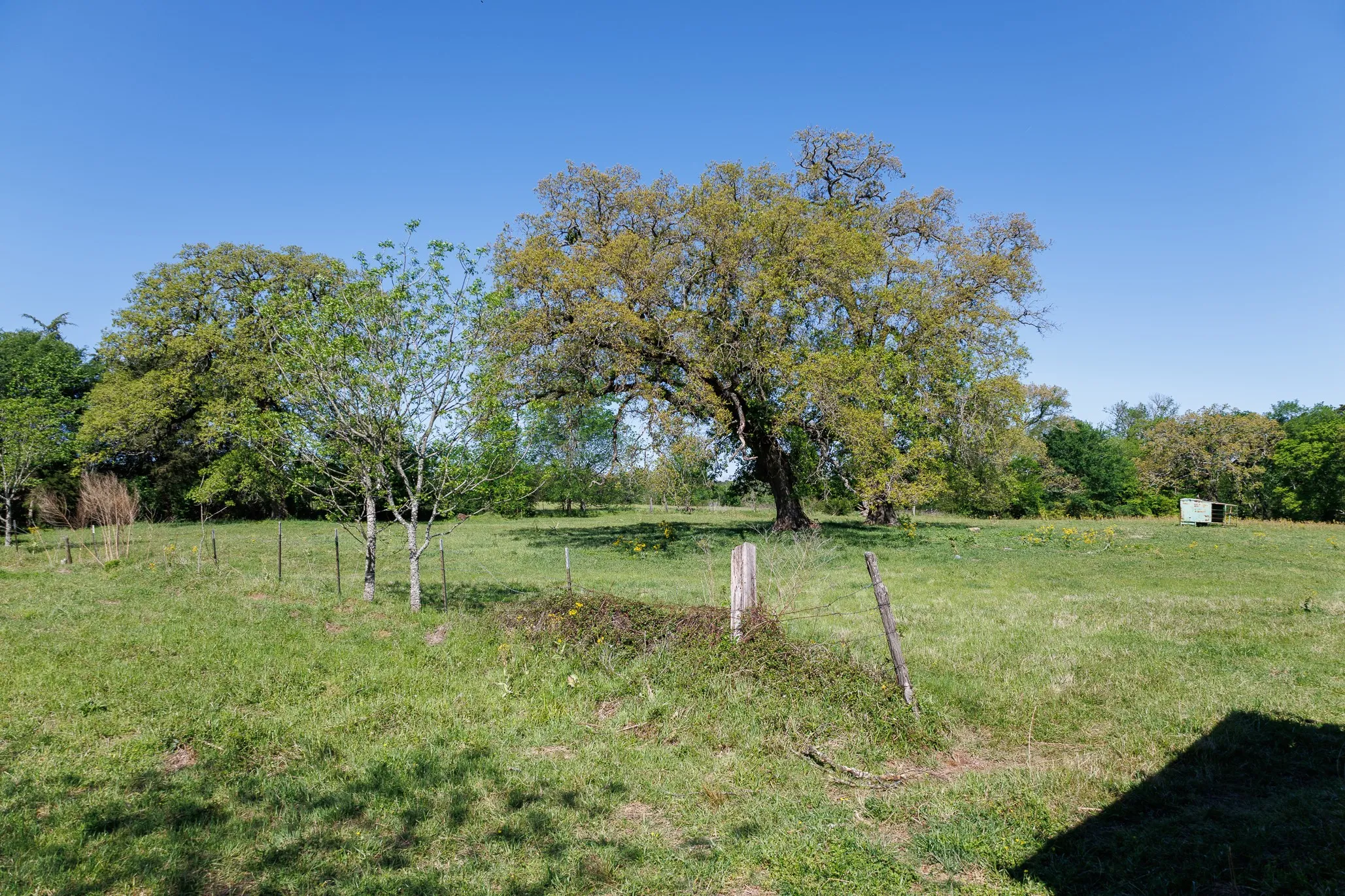 Ranch For Sale in Smith County , 5973 Fm 344 E, Tyler, Texas 75703, 0, 0, Garage spaces, 0 Sqft, built in 0, Price $900,000, mls#21238654, Real Estate Agent in Tyler, Homes For Sale in Smith county, Homes For Sale in Tyler, Realtor in Tyler Texas, Real Estate Brokerage Independent Realty Texas, Luminita Cordes Realtor