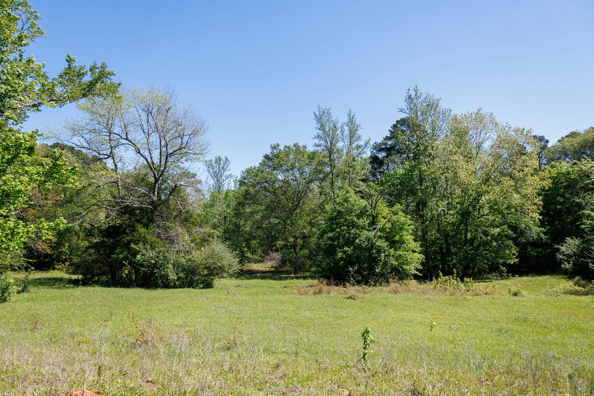 Ranch For Sale in Smith County , 5973 Fm 344 E, Tyler, Texas 75703, 0, 0, Garage spaces, 0 Sqft, built in 0, Price $900,000, mls#21238654, Real Estate Agent in Tyler, Homes For Sale in Smith county, Homes For Sale in Tyler, Realtor in Tyler Texas, Real Estate Brokerage Independent Realty Texas, Luminita Cordes Realtor