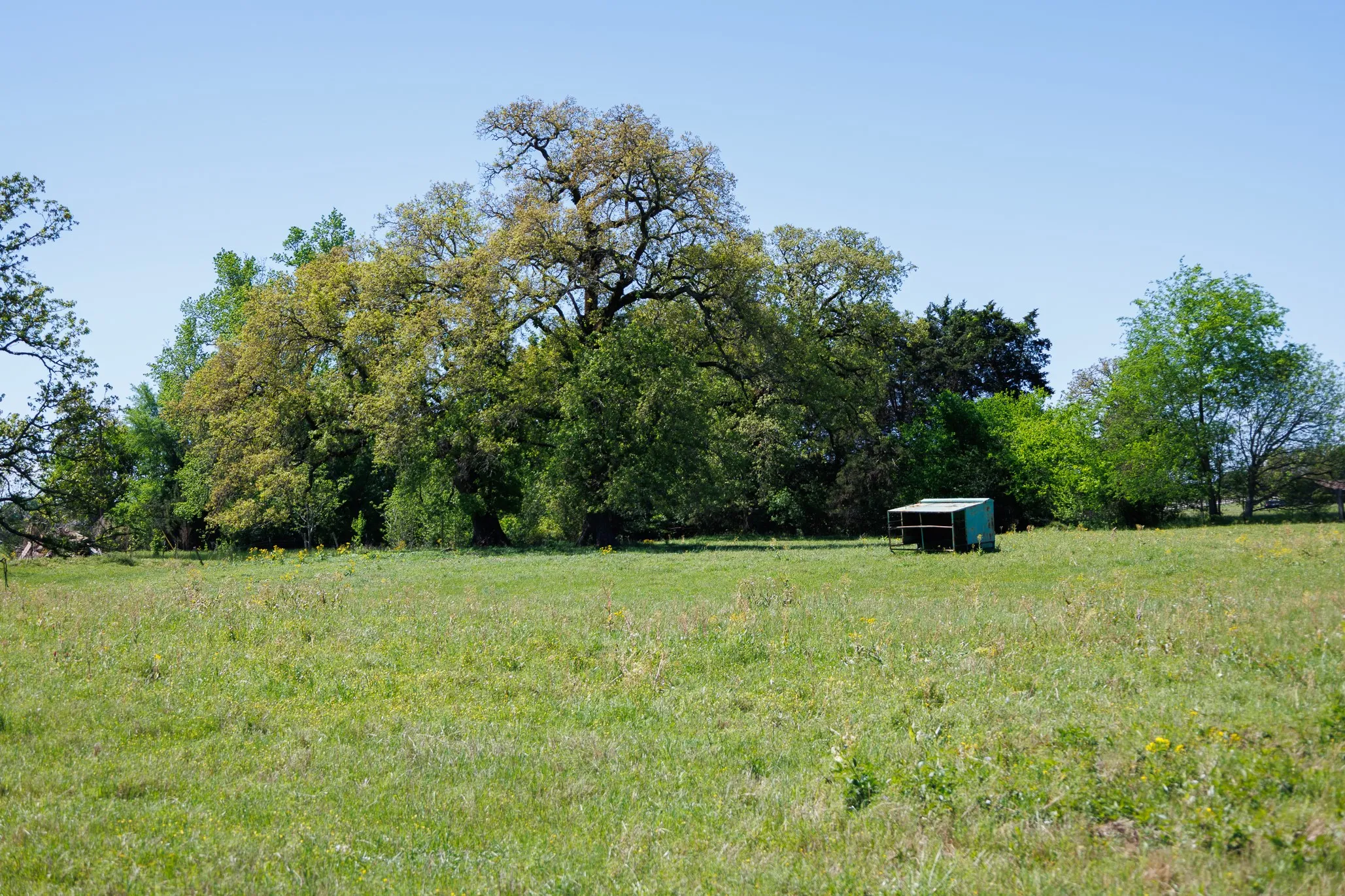 Ranch For Sale in Smith County , 5973 Fm 344 E, Tyler, Texas 75703, 0, 0, Garage spaces, 0 Sqft, built in 0, Price $900,000, mls#21238654, Real Estate Agent in Tyler, Homes For Sale in Smith county, Homes For Sale in Tyler, Realtor in Tyler Texas, Real Estate Brokerage Independent Realty Texas, Luminita Cordes Realtor