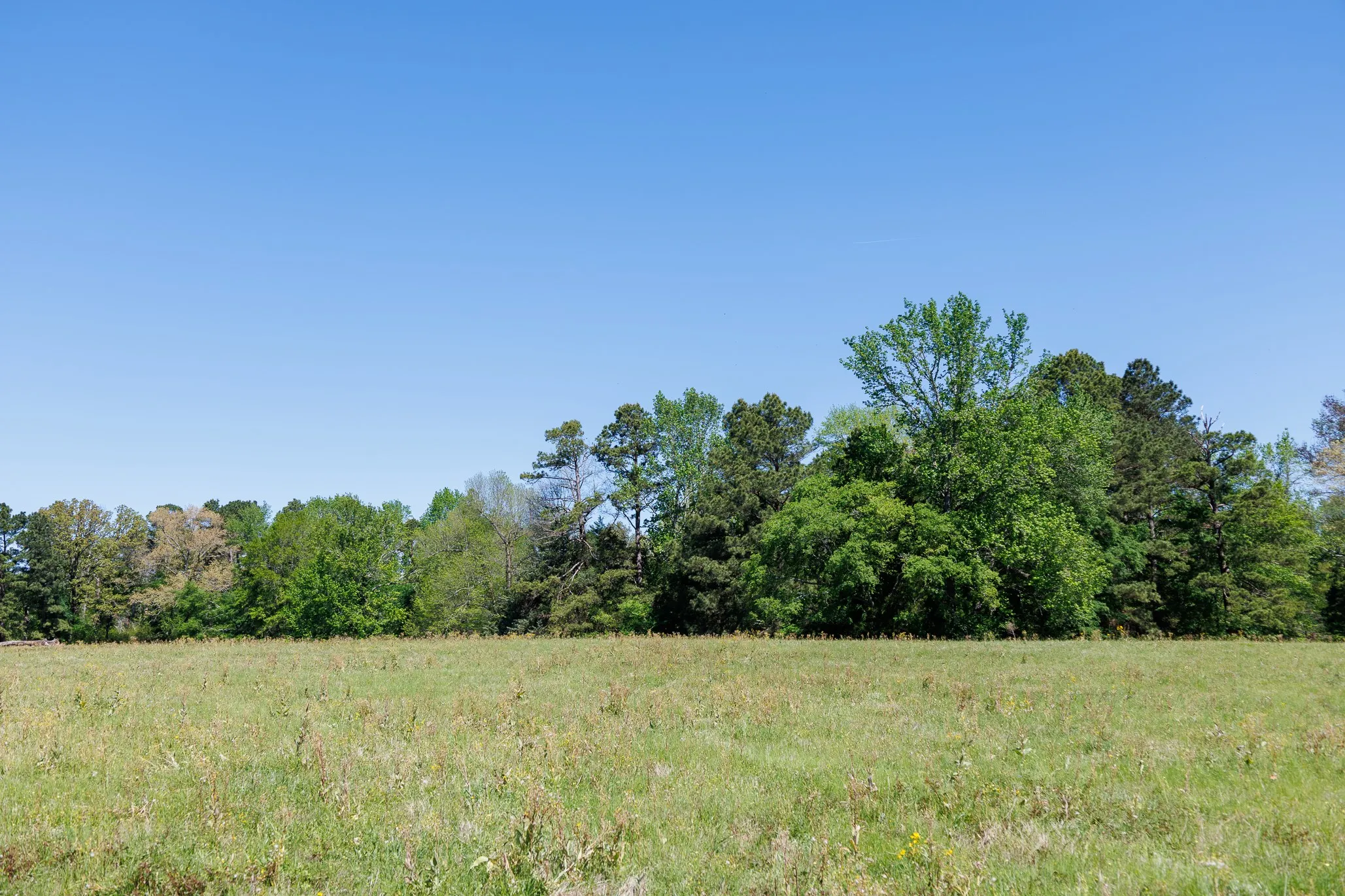 Ranch For Sale in Smith County , 5973 Fm 344 E, Tyler, Texas 75703, 0, 0, Garage spaces, 0 Sqft, built in 0, Price $900,000, mls#21238654, Real Estate Agent in Tyler, Homes For Sale in Smith county, Homes For Sale in Tyler, Realtor in Tyler Texas, Real Estate Brokerage Independent Realty Texas, Luminita Cordes Realtor