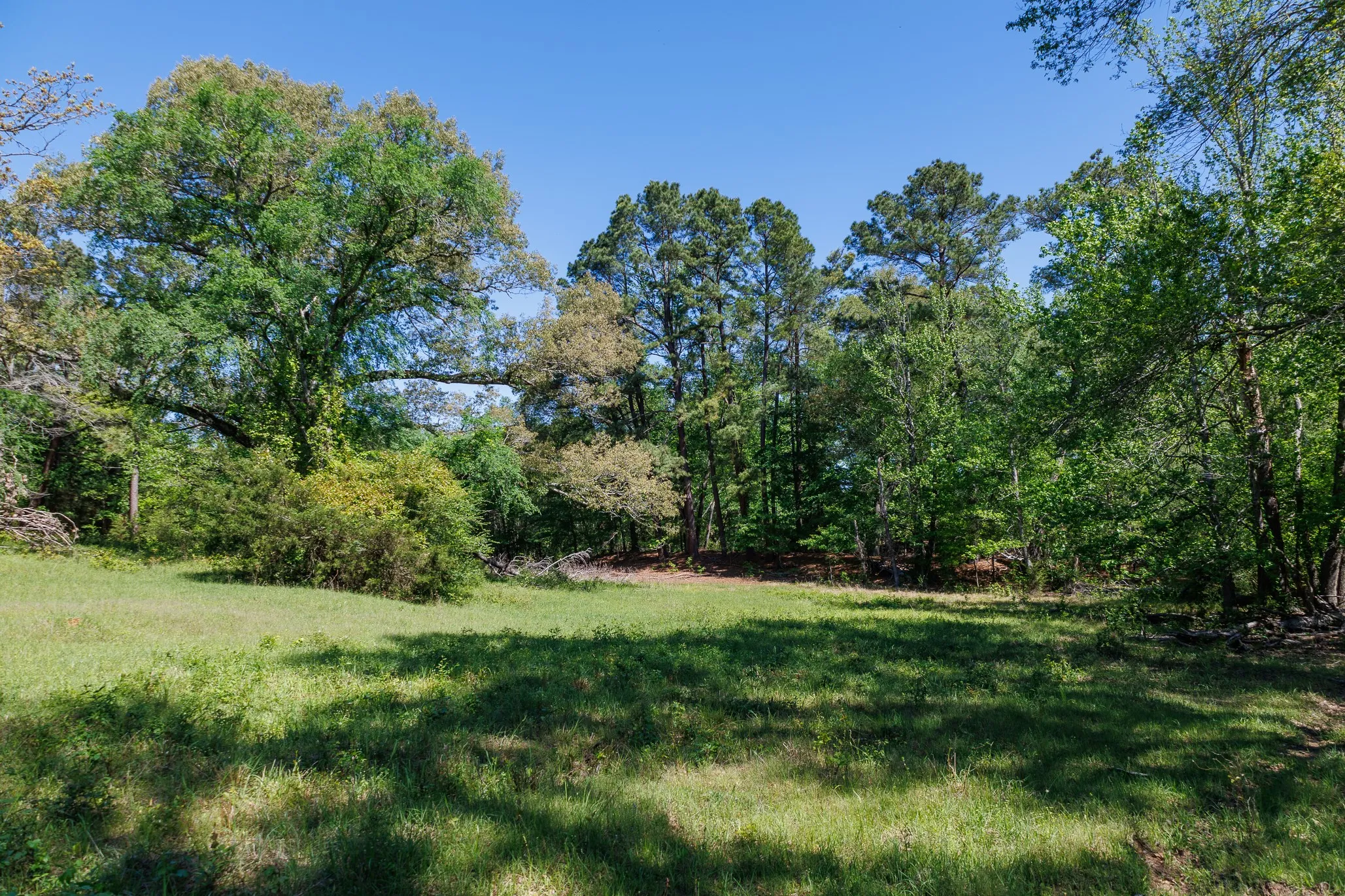 Ranch For Sale in Smith County , 5973 Fm 344 E, Tyler, Texas 75703, 0, 0, Garage spaces, 0 Sqft, built in 0, Price $900,000, mls#21238654, Real Estate Agent in Tyler, Homes For Sale in Smith county, Homes For Sale in Tyler, Realtor in Tyler Texas, Real Estate Brokerage Independent Realty Texas, Luminita Cordes Realtor