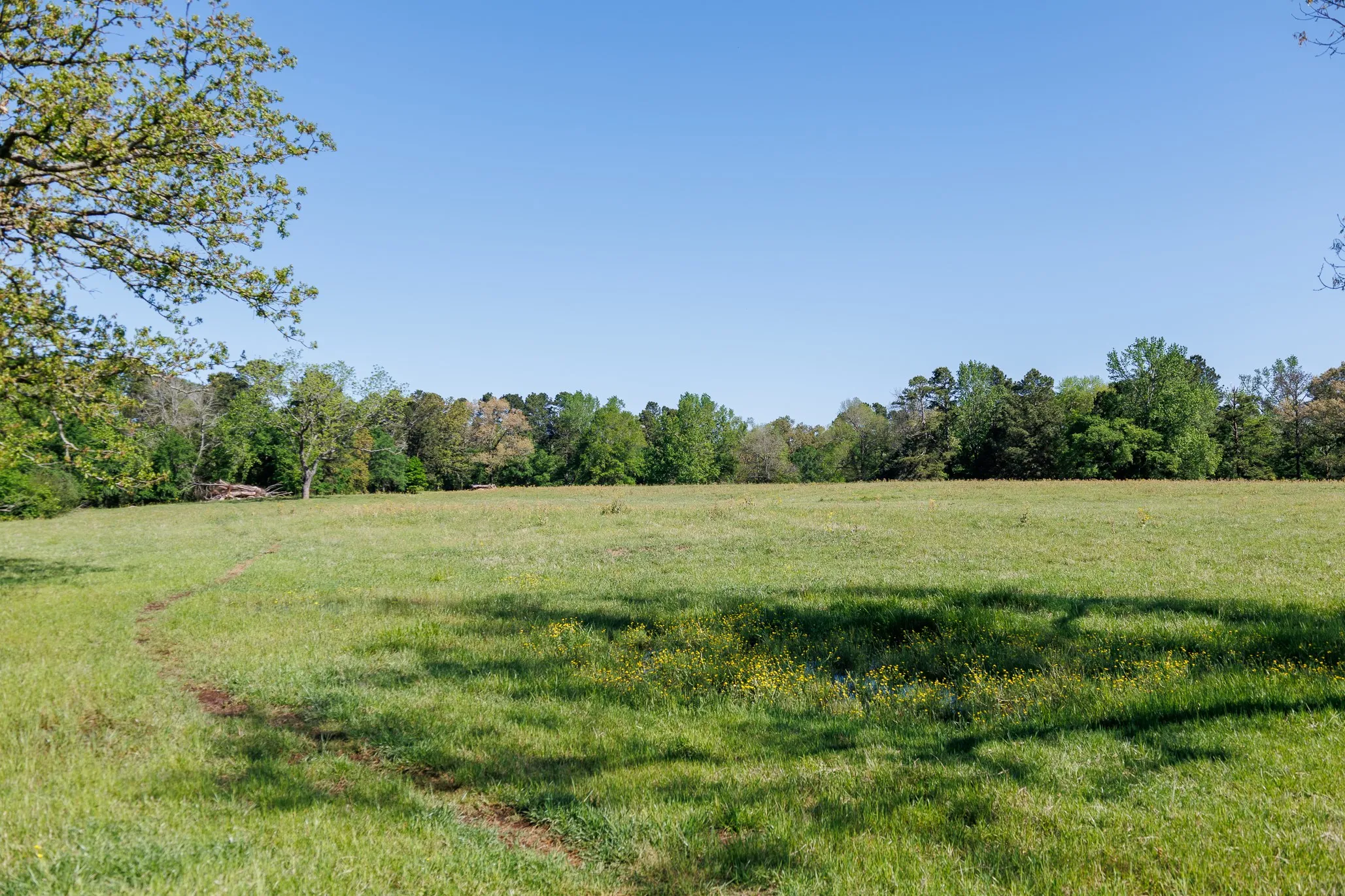 Ranch For Sale in Smith County , 5973 Fm 344 E, Tyler, Texas 75703, 0, 0, Garage spaces, 0 Sqft, built in 0, Price $900,000, mls#21238654, Real Estate Agent in Tyler, Homes For Sale in Smith county, Homes For Sale in Tyler, Realtor in Tyler Texas, Real Estate Brokerage Independent Realty Texas, Luminita Cordes Realtor