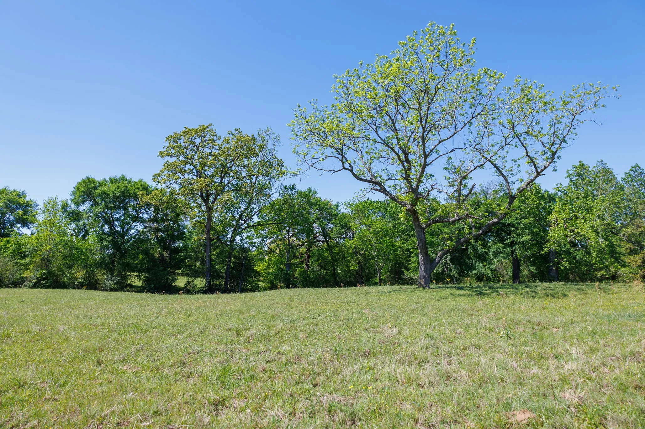 Ranch For Sale in Smith County , 5973 Fm 344 E, Tyler, Texas 75703, 0, 0, Garage spaces, 0 Sqft, built in 0, Price $900,000, mls#21238654, Real Estate Agent in Tyler, Homes For Sale in Smith county, Homes For Sale in Tyler, Realtor in Tyler Texas, Real Estate Brokerage Independent Realty Texas, Luminita Cordes Realtor