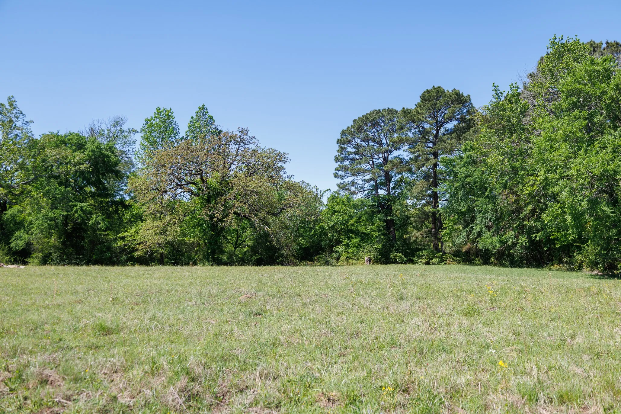 Ranch For Sale in Smith County , 5973 Fm 344 E, Tyler, Texas 75703, 0, 0, Garage spaces, 0 Sqft, built in 0, Price $900,000, mls#21238654, Real Estate Agent in Tyler, Homes For Sale in Smith county, Homes For Sale in Tyler, Realtor in Tyler Texas, Real Estate Brokerage Independent Realty Texas, Luminita Cordes Realtor