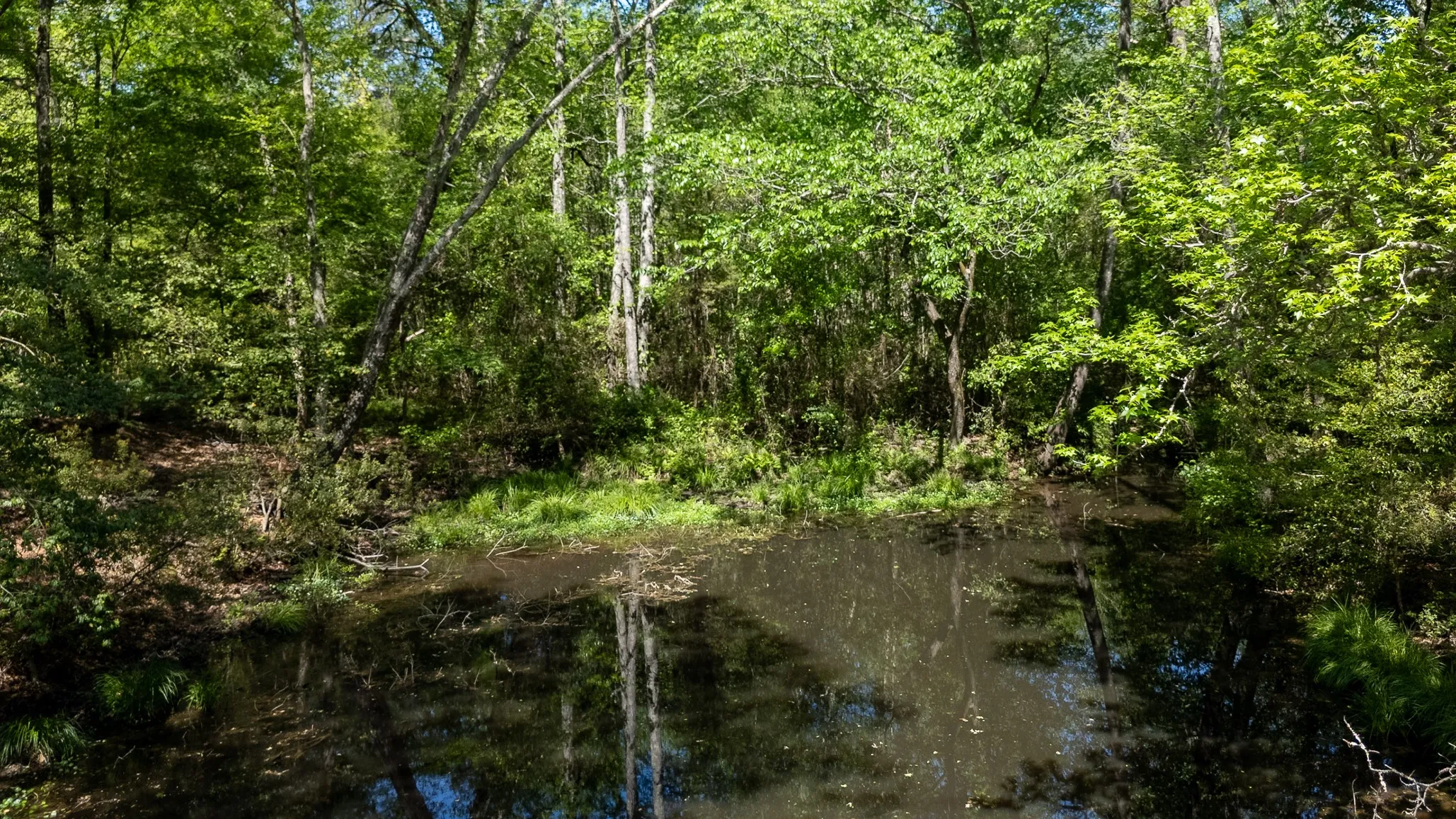 Ranch For Sale in Smith County , 5973 Fm 344 E, Tyler, Texas 75703, 0, 0, Garage spaces, 0 Sqft, built in 0, Price $900,000, mls#21238654, Real Estate Agent in Tyler, Homes For Sale in Smith county, Homes For Sale in Tyler, Realtor in Tyler Texas, Real Estate Brokerage Independent Realty Texas, Luminita Cordes Realtor