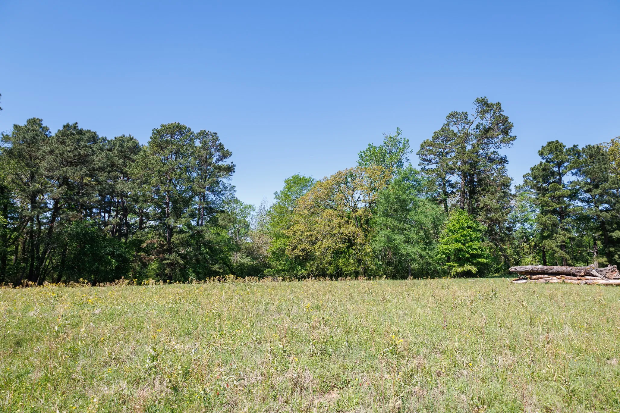 Ranch For Sale in Smith County , 5973 Fm 344 E, Tyler, Texas 75703, 0, 0, Garage spaces, 0 Sqft, built in 0, Price $900,000, mls#21238654, Real Estate Agent in Tyler, Homes For Sale in Smith county, Homes For Sale in Tyler, Realtor in Tyler Texas, Real Estate Brokerage Independent Realty Texas, Luminita Cordes Realtor