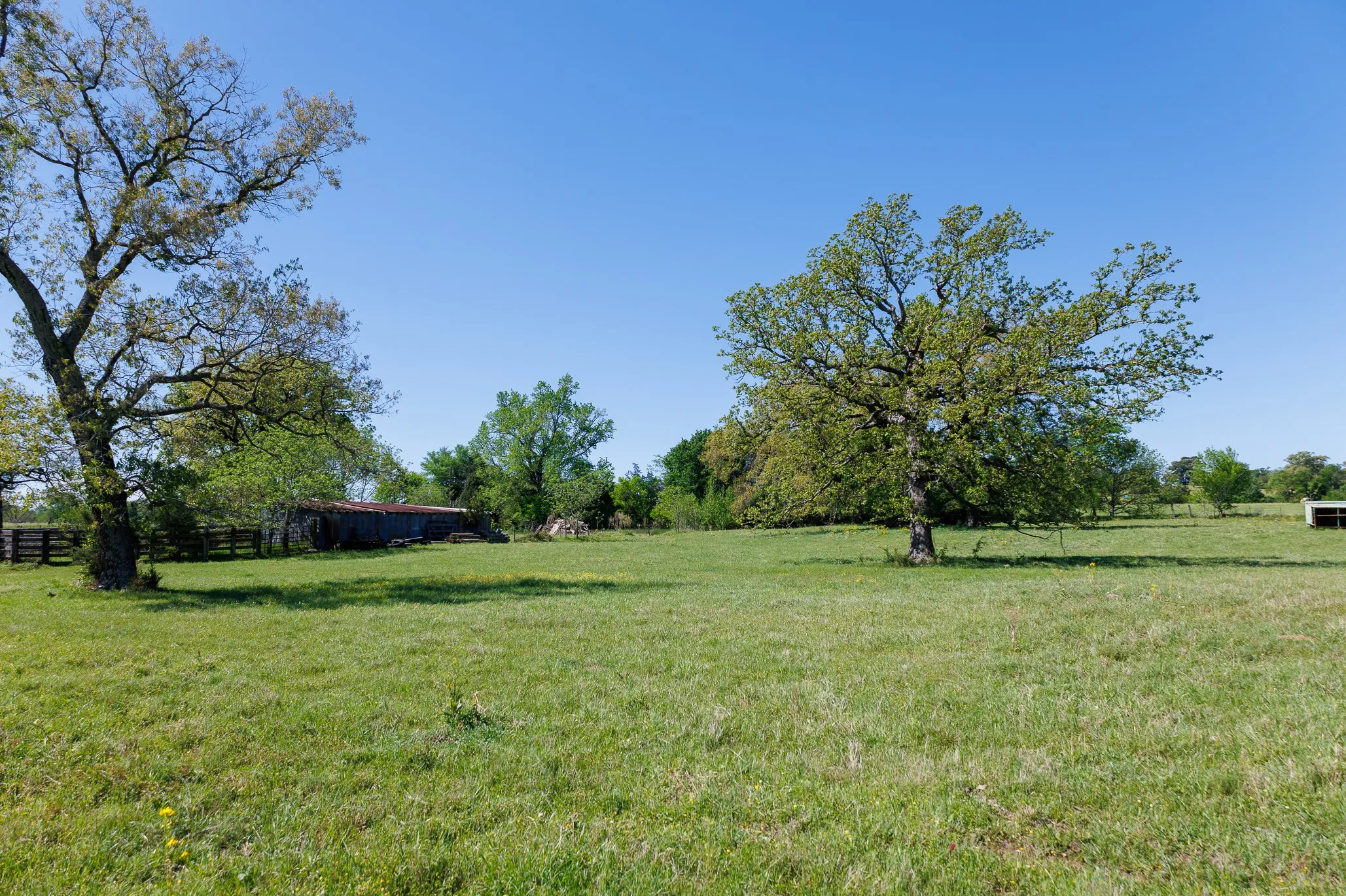 Ranch For Sale in Smith County , 5973 Fm 344 E, Tyler, Texas 75703, 0, 0, Garage spaces, 0 Sqft, built in 0, Price $900,000, mls#21238654, Real Estate Agent in Tyler, Homes For Sale in Smith county, Homes For Sale in Tyler, Realtor in Tyler Texas, Real Estate Brokerage Independent Realty Texas, Luminita Cordes Realtor
