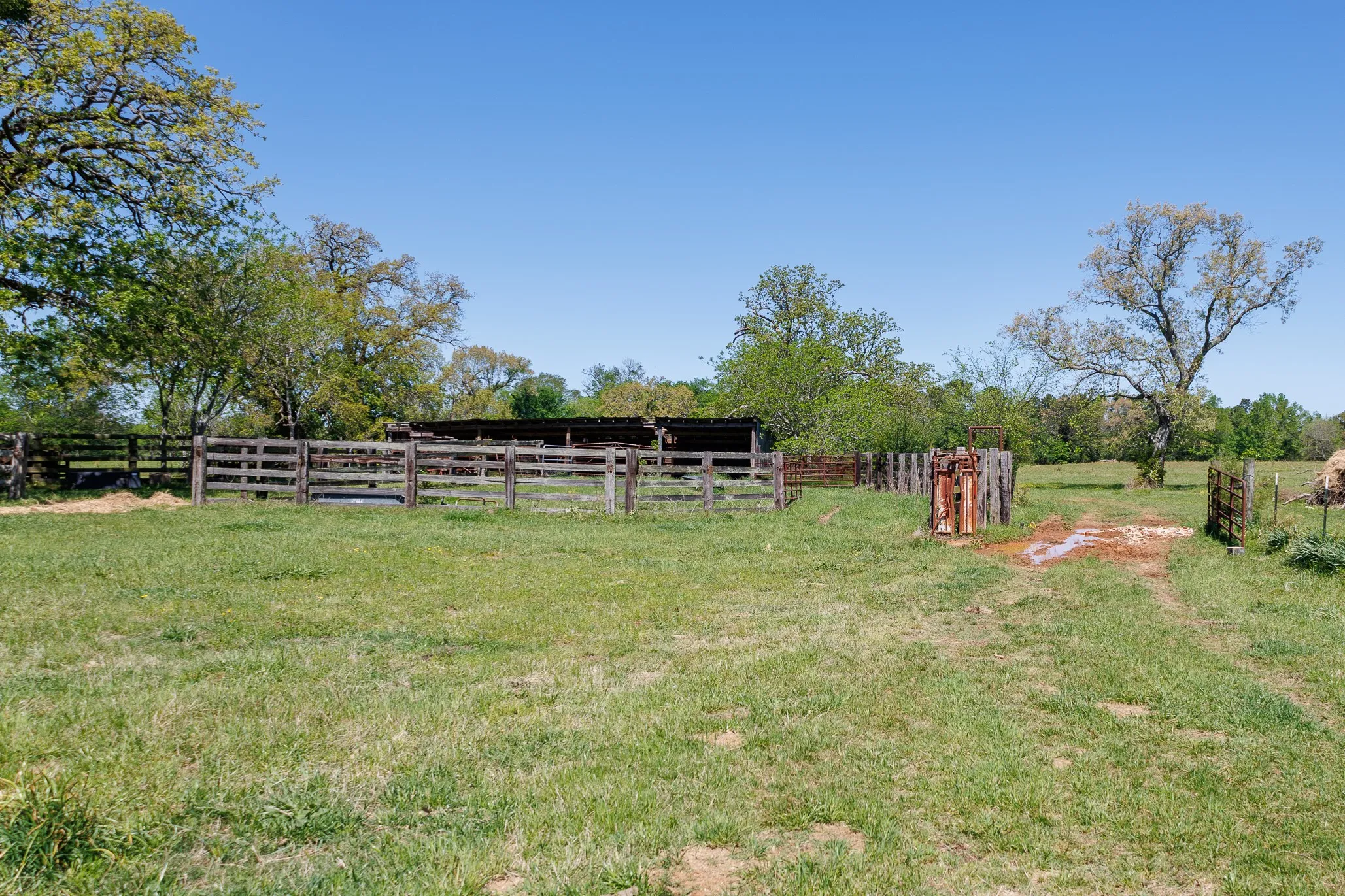 Ranch For Sale in Smith County , 5973 Fm 344 E, Tyler, Texas 75703, 0, 0, Garage spaces, 0 Sqft, built in 0, Price $900,000, mls#21238654, Real Estate Agent in Tyler, Homes For Sale in Smith county, Homes For Sale in Tyler, Realtor in Tyler Texas, Real Estate Brokerage Independent Realty Texas, Luminita Cordes Realtor