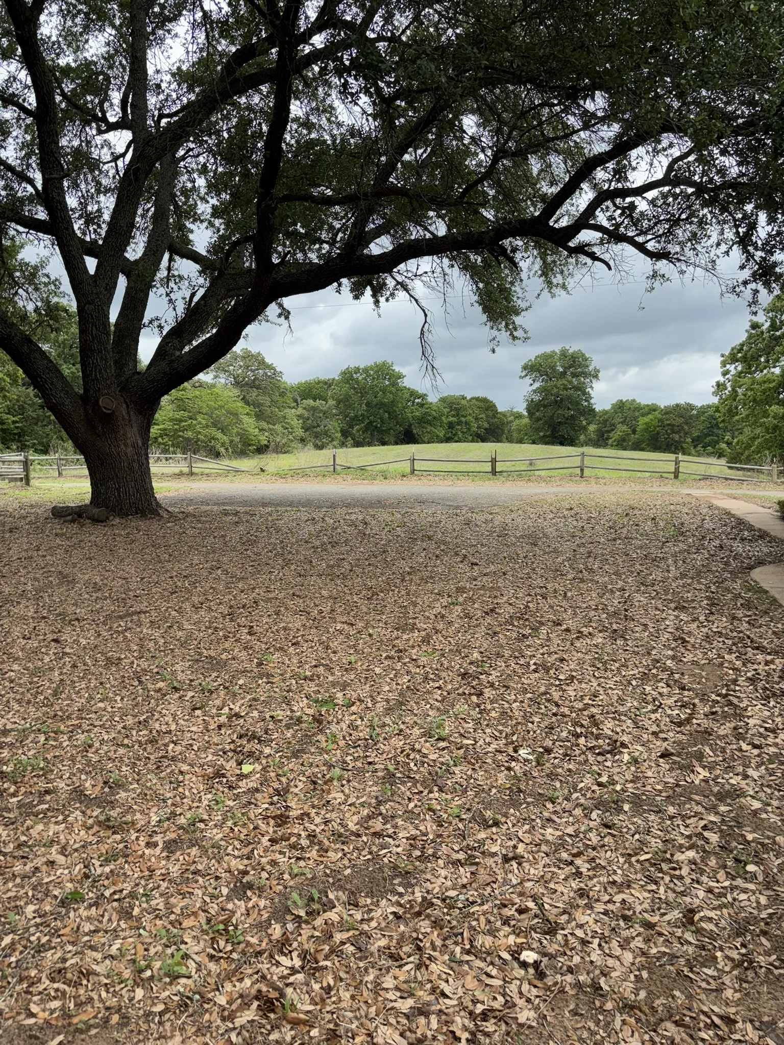 Single Family Residence For Sale in Henderson County , 14070 County Road 3520, Brownsboro, Texas 75756, 3 Bedroom, 2 Bathroom, Garage spaces, 2,798 Sqft, built in 1981, Preowned, mls#21239652, Real Estate Agent in Brownsboro, Homes For Sale in Henderson county, Homes For Sale in Brownsboro, Realtor in Brownsboro Texas, Real Estate Brokerage Independent Realty Texas, Luminita Cordes Realtor