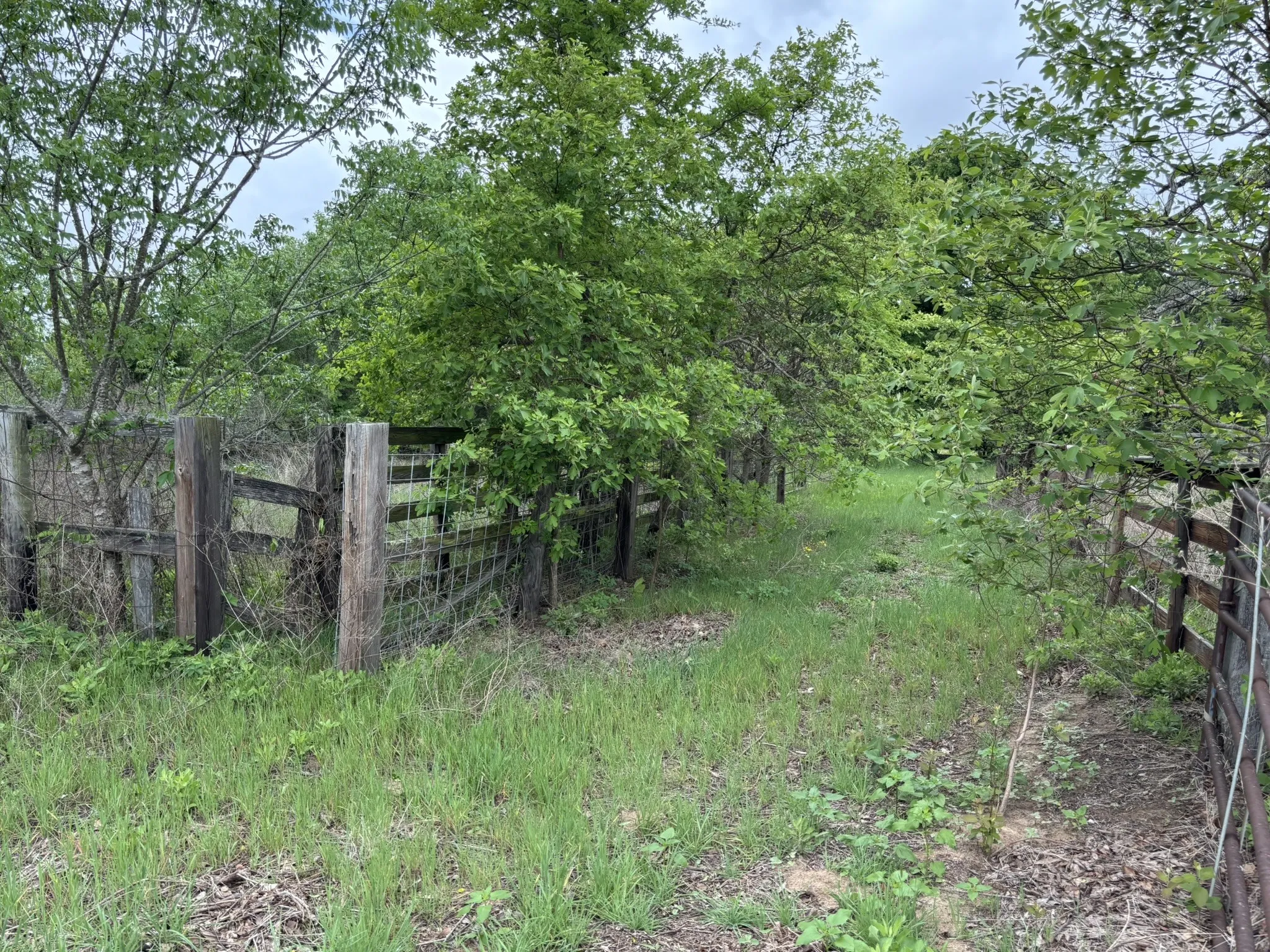 Single Family Residence For Sale in Henderson County , 14070 County Road 3520, Brownsboro, Texas 75756, 3 Bedroom, 2 Bathroom, Garage spaces, 2,798 Sqft, built in 1981, Preowned, mls#21239652, Real Estate Agent in Brownsboro, Homes For Sale in Henderson county, Homes For Sale in Brownsboro, Realtor in Brownsboro Texas, Real Estate Brokerage Independent Realty Texas, Luminita Cordes Realtor