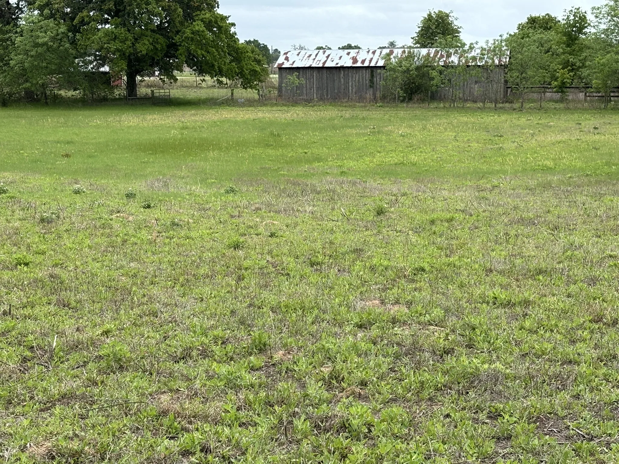Single Family Residence For Sale in Henderson County , 14070 County Road 3520, Brownsboro, Texas 75756, 3 Bedroom, 2 Bathroom, Garage spaces, 2,798 Sqft, built in 1981, Preowned, mls#21239652, Real Estate Agent in Brownsboro, Homes For Sale in Henderson county, Homes For Sale in Brownsboro, Realtor in Brownsboro Texas, Real Estate Brokerage Independent Realty Texas, Luminita Cordes Realtor