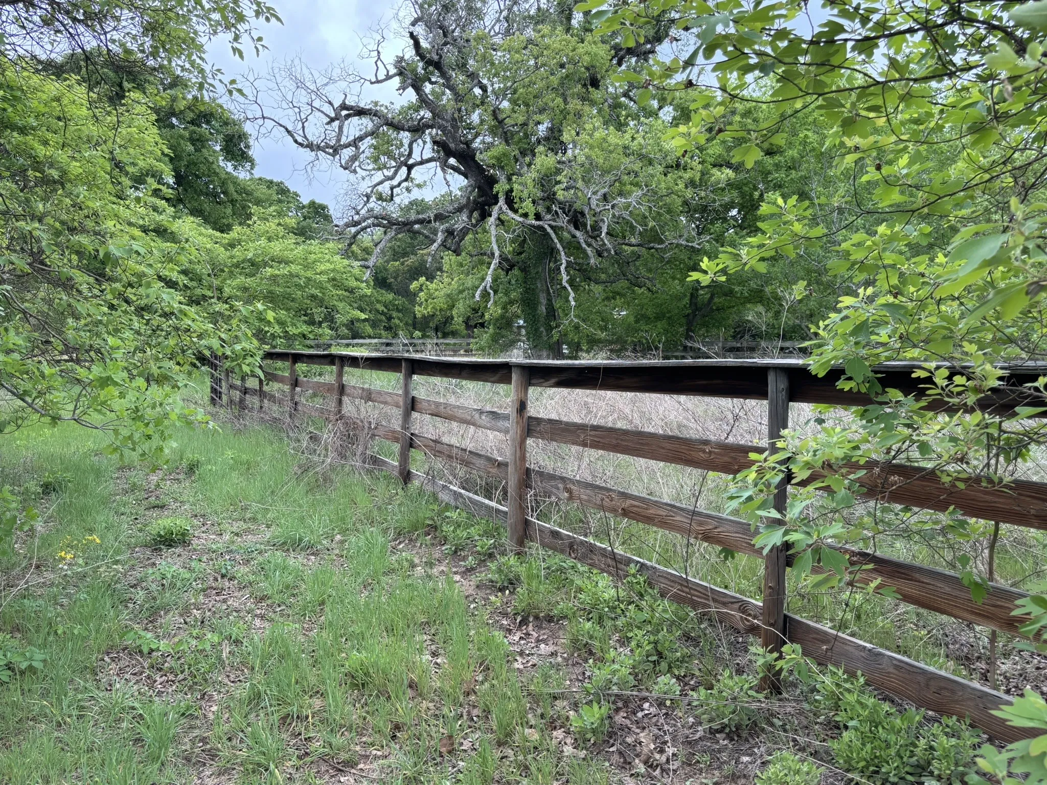 Single Family Residence For Sale in Henderson County , 14070 County Road 3520, Brownsboro, Texas 75756, 3 Bedroom, 2 Bathroom, Garage spaces, 2,798 Sqft, built in 1981, Preowned, mls#21239652, Real Estate Agent in Brownsboro, Homes For Sale in Henderson county, Homes For Sale in Brownsboro, Realtor in Brownsboro Texas, Real Estate Brokerage Independent Realty Texas, Luminita Cordes Realtor