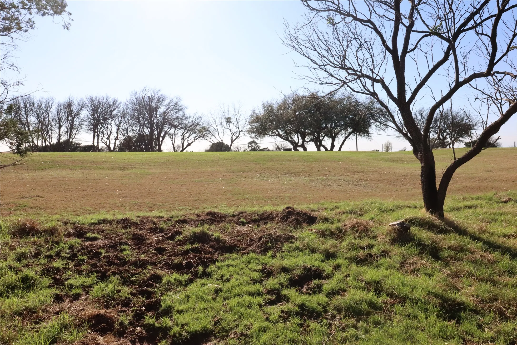 Improved Land For Sale in Palo Pinto County , 12 Shoal Creek Circle, Graford, Texas 76449, 0, 0, Garage spaces, 0 Sqft, built in 0, Price $49,000, mls#21241027, Real Estate Agent in Graford, Homes For Sale in Palo Pinto county, Homes For Sale in Graford, Realtor in Graford Texas, Real Estate Brokerage Independent Realty Texas, Luminita Cordes Realtor