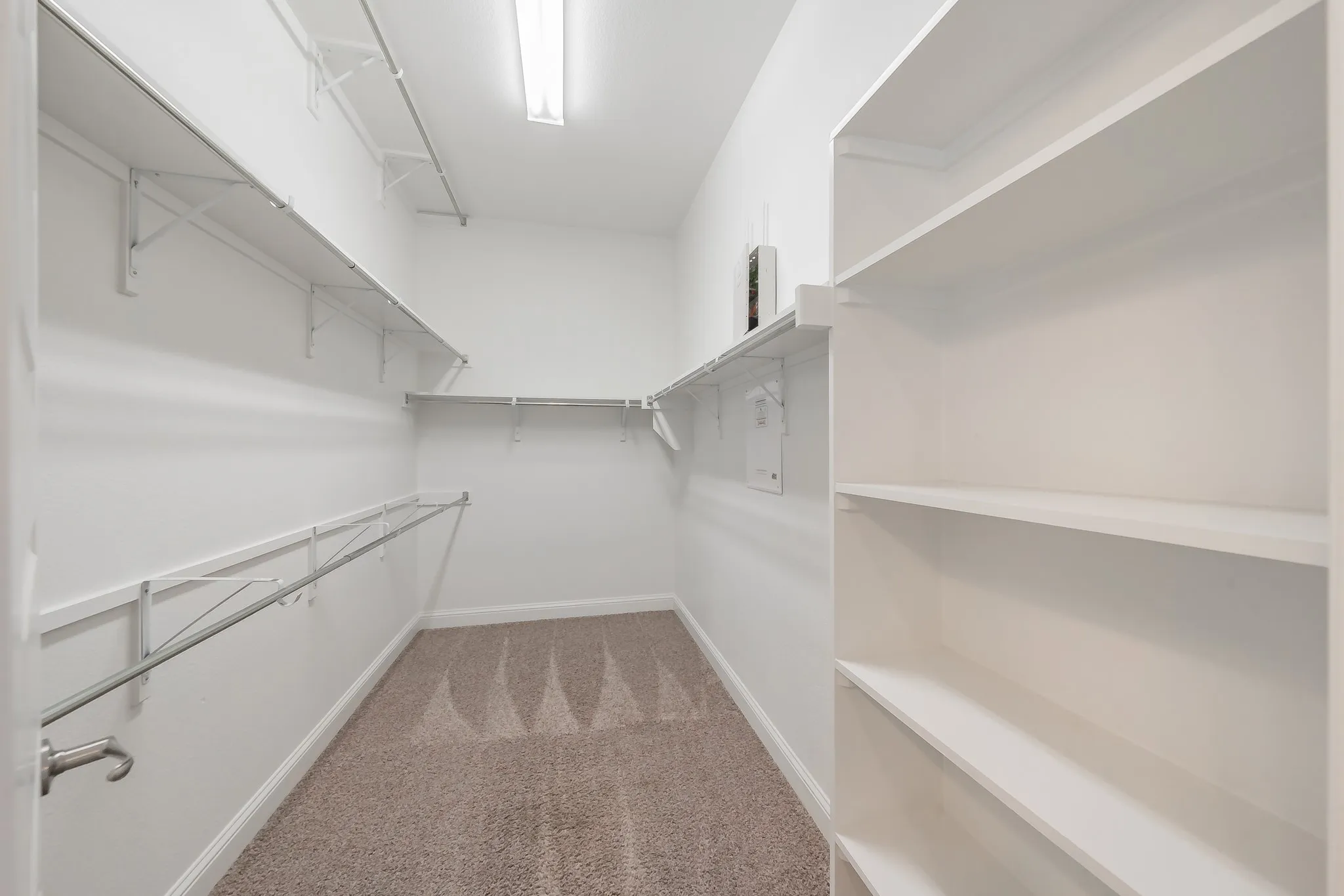 Walk in closet with light carpet