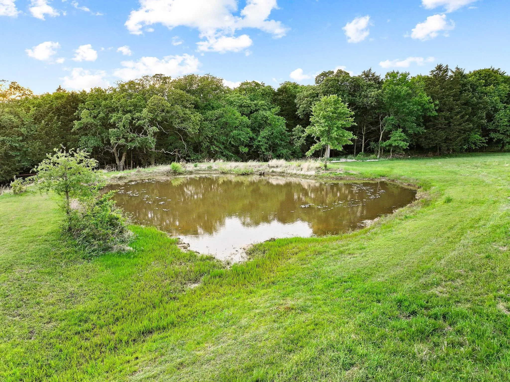 The property features a pond surrounded by extensive green grass and mature trees