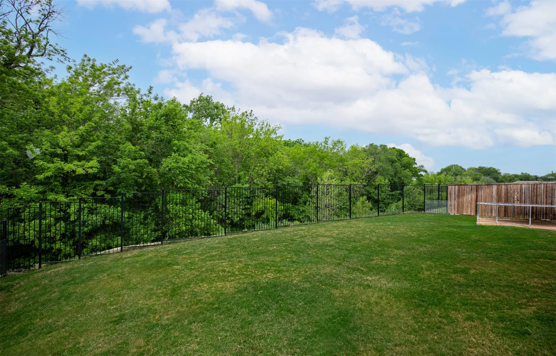 Backyard with tree lined green space.