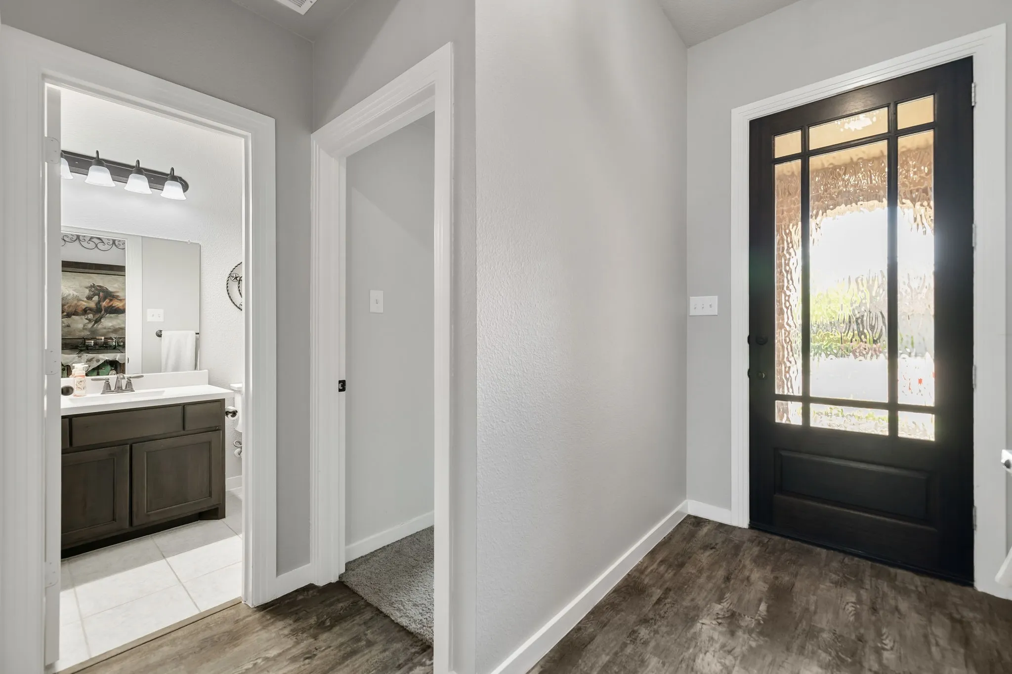 Front Glass pane door
