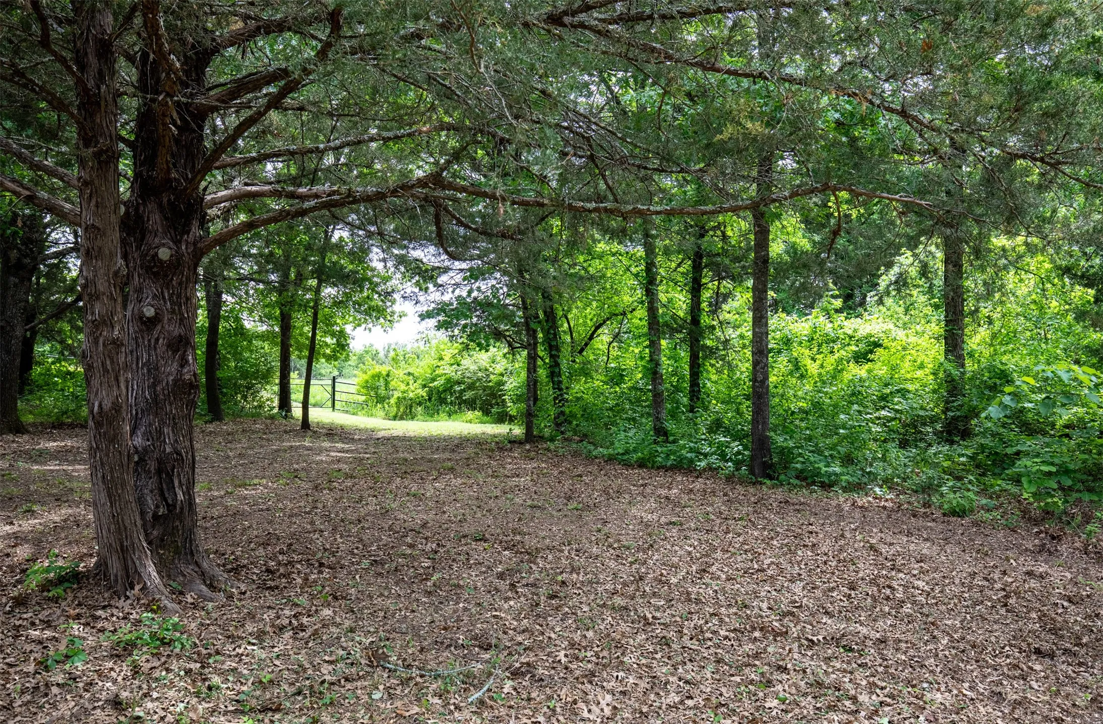 Gated entrance from inside of property.