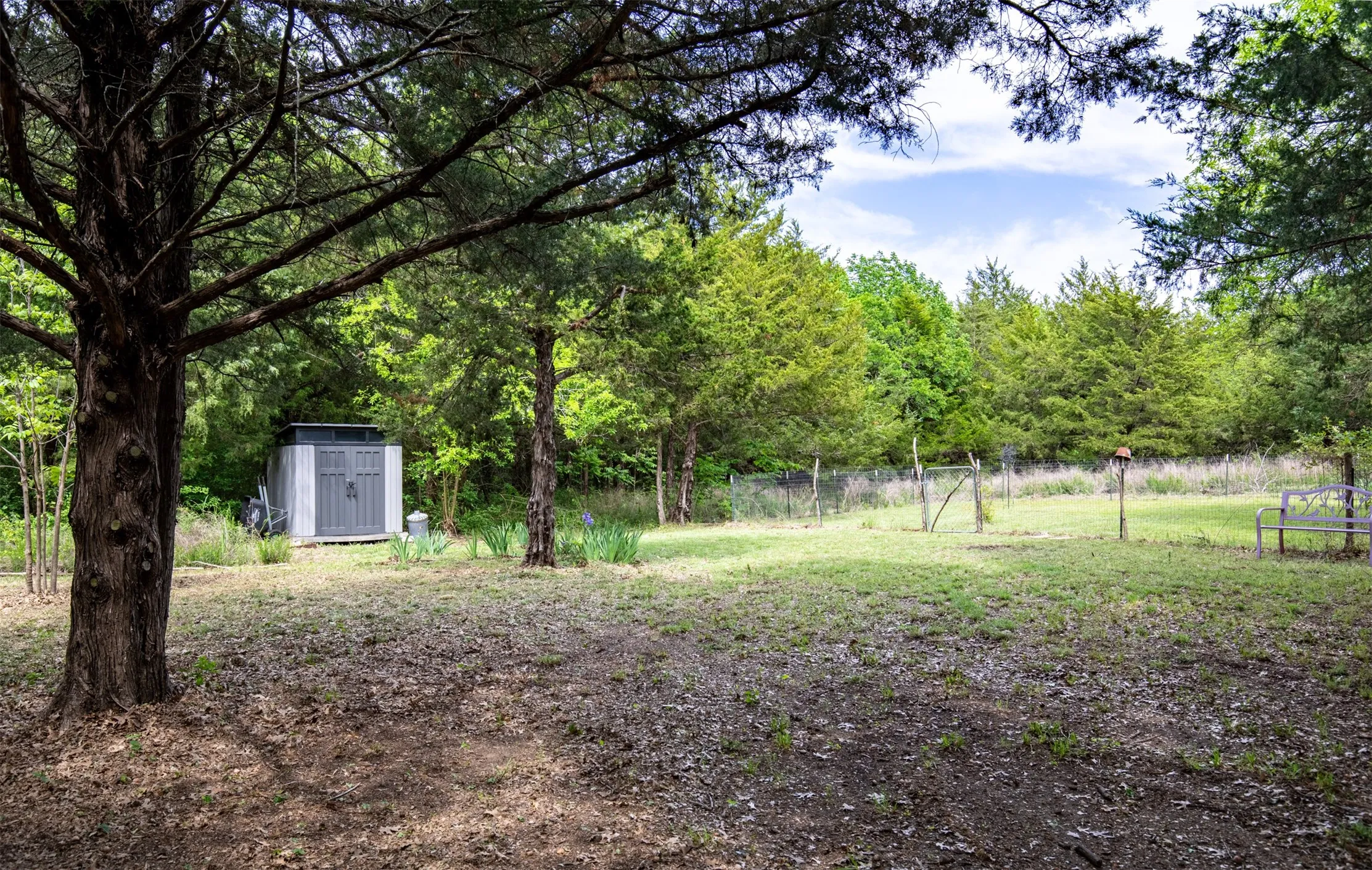 Open area of property.